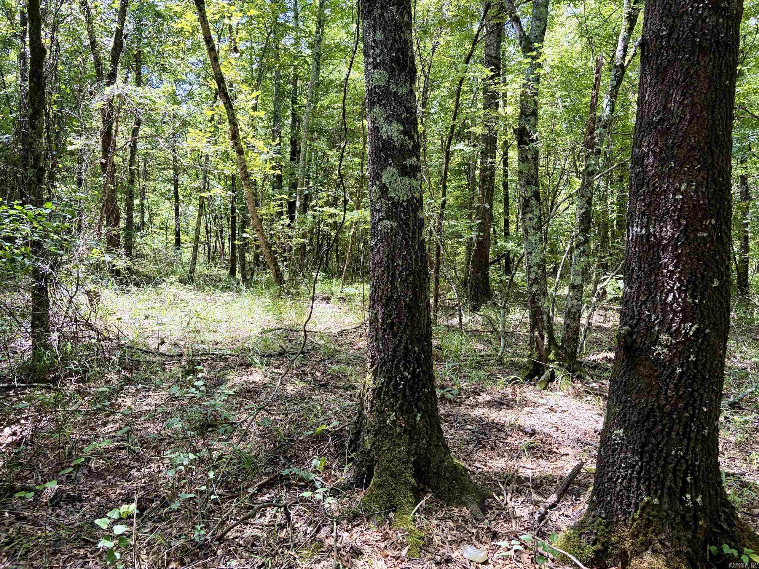 000 HWY 28  Ola, AR