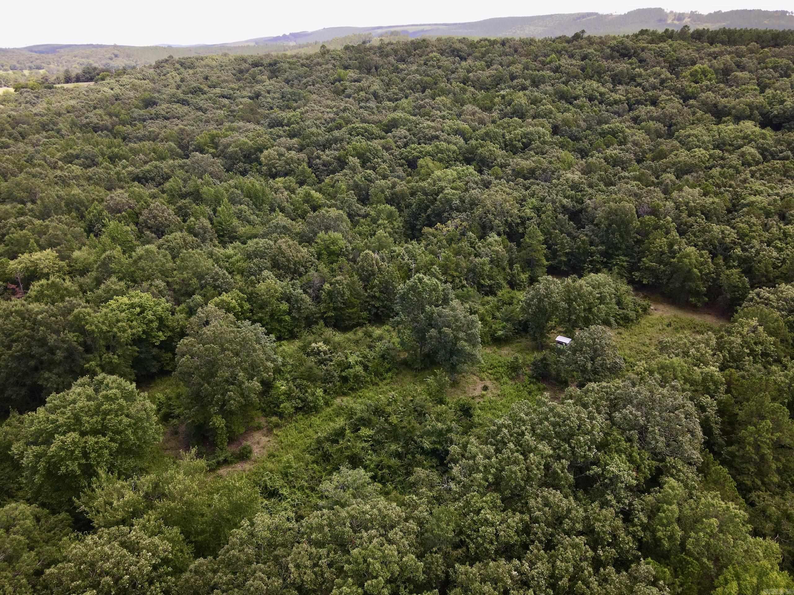 000 HWY 28  Ola, AR