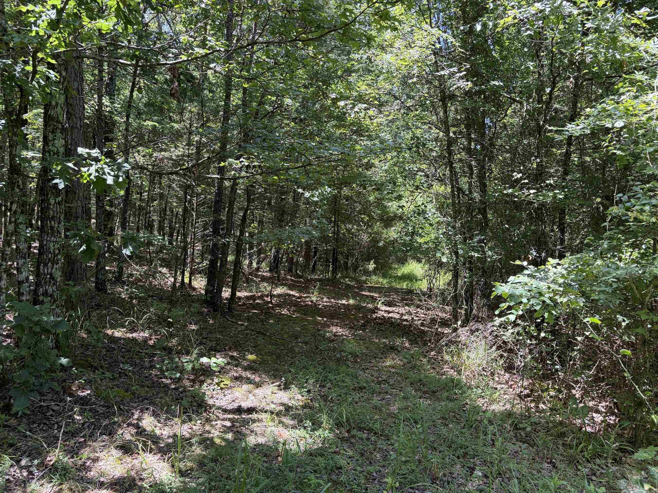 000 HWY 28  Ola, AR