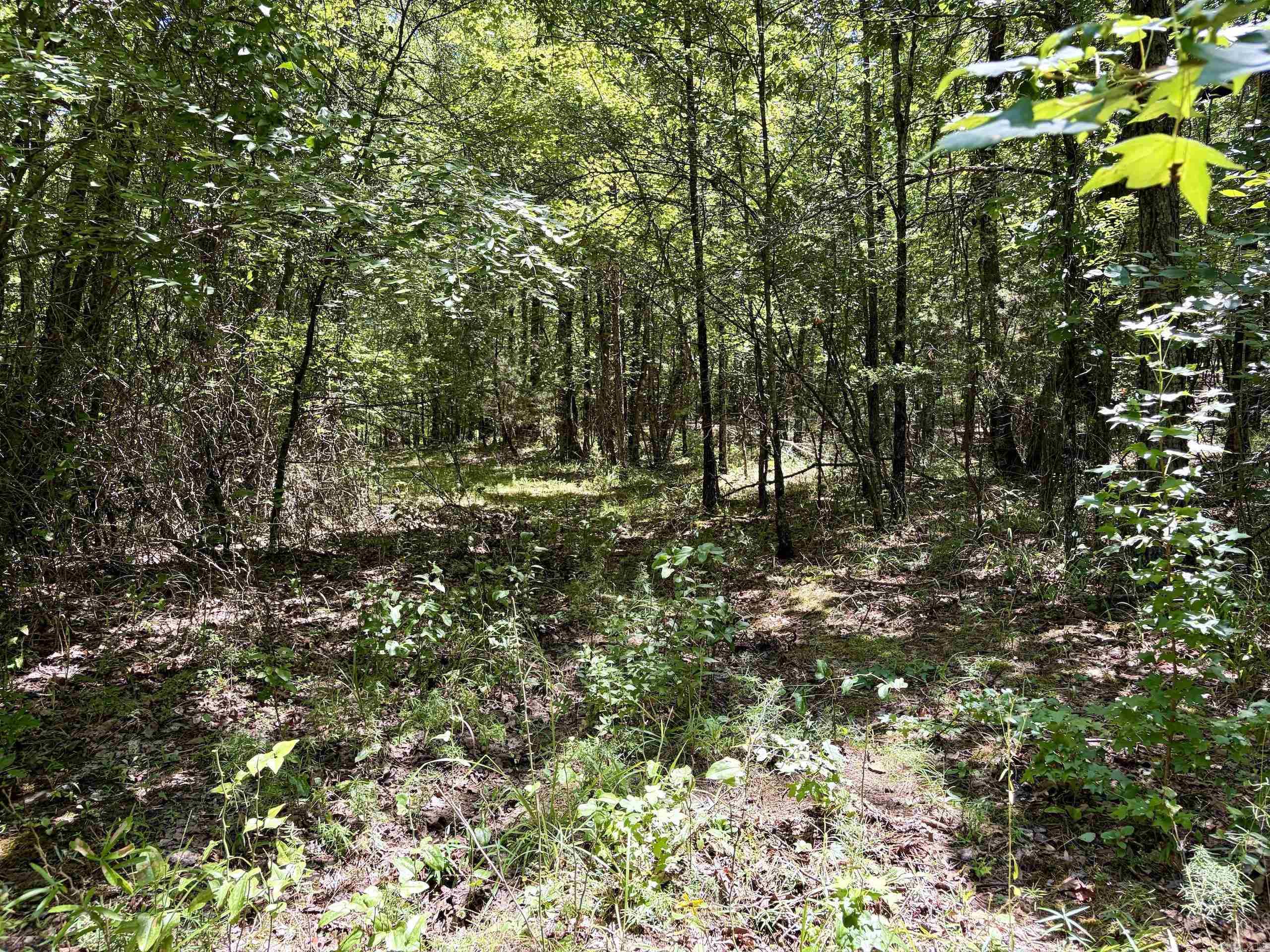 000 HWY 28  Ola, AR