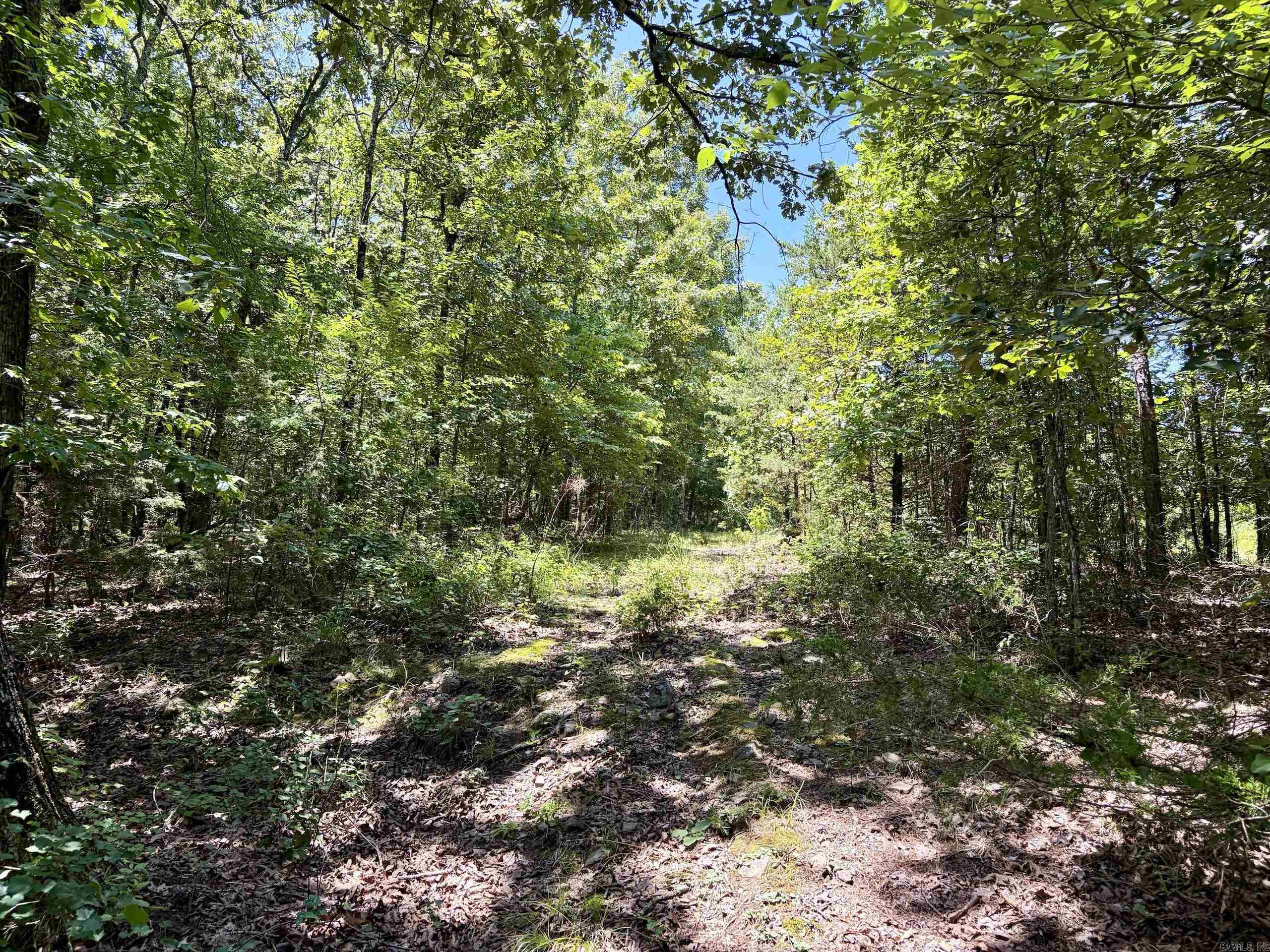 000 HWY 28  Ola, AR