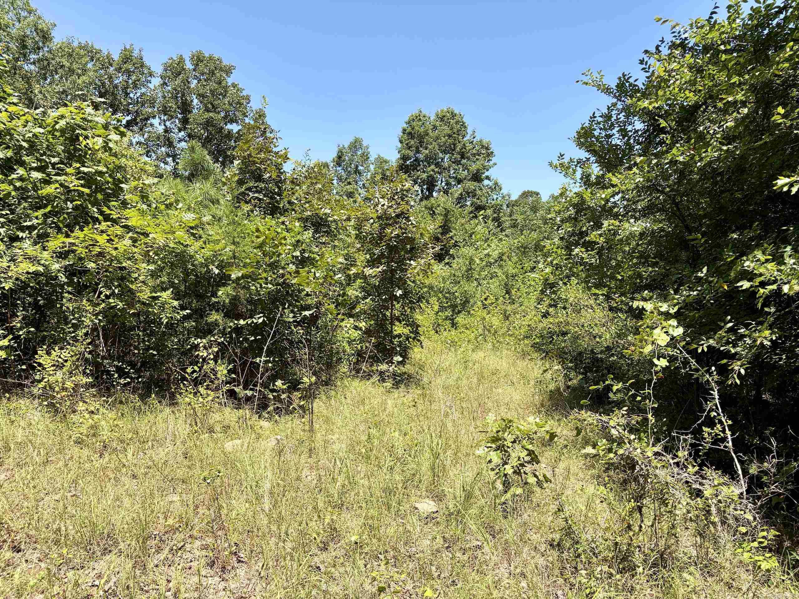000 HWY 28  Ola, AR