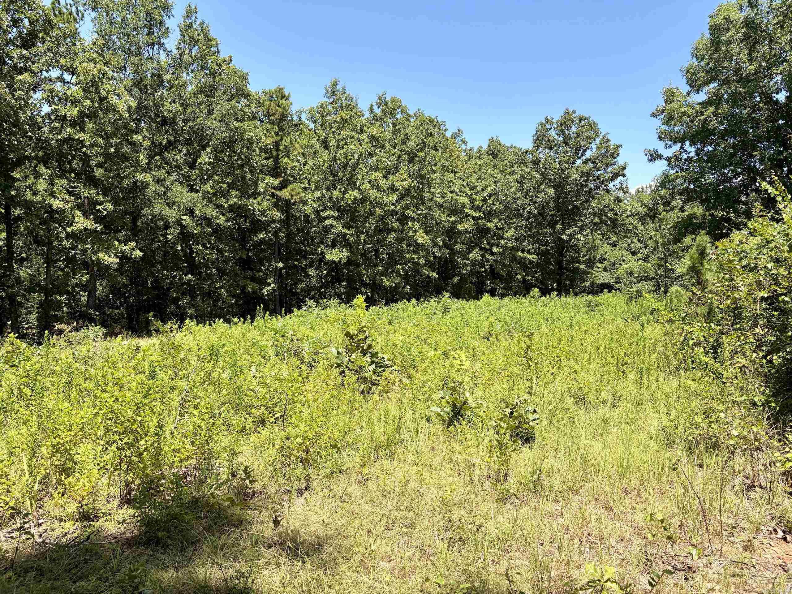 000 HWY 28  Ola, AR