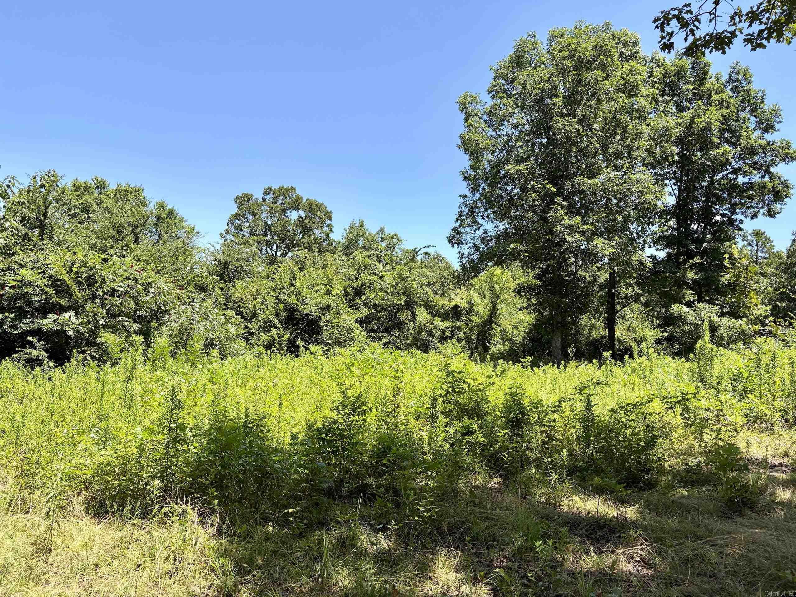000 HWY 28  Ola, AR