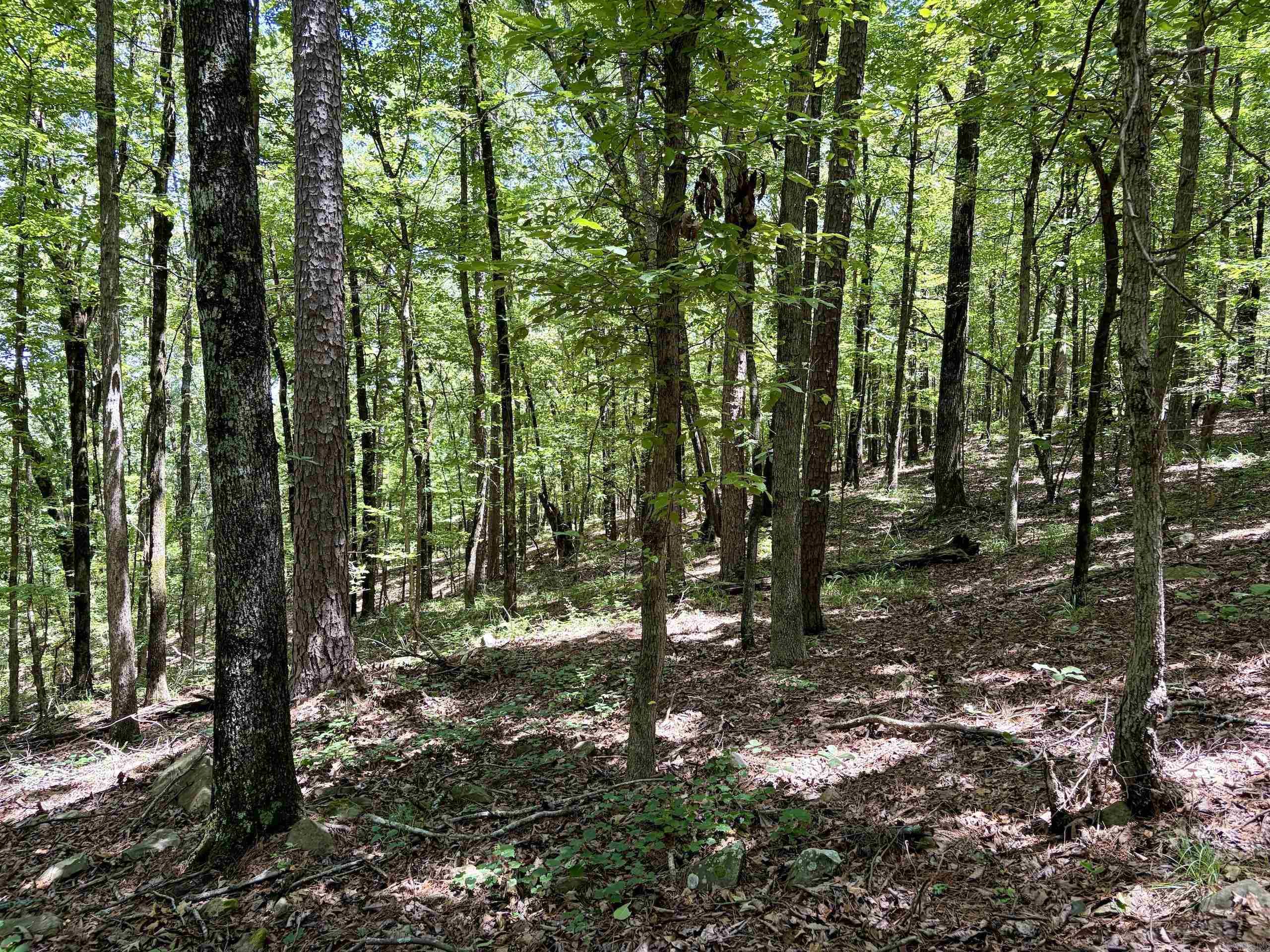 000 HWY 28  Ola, AR