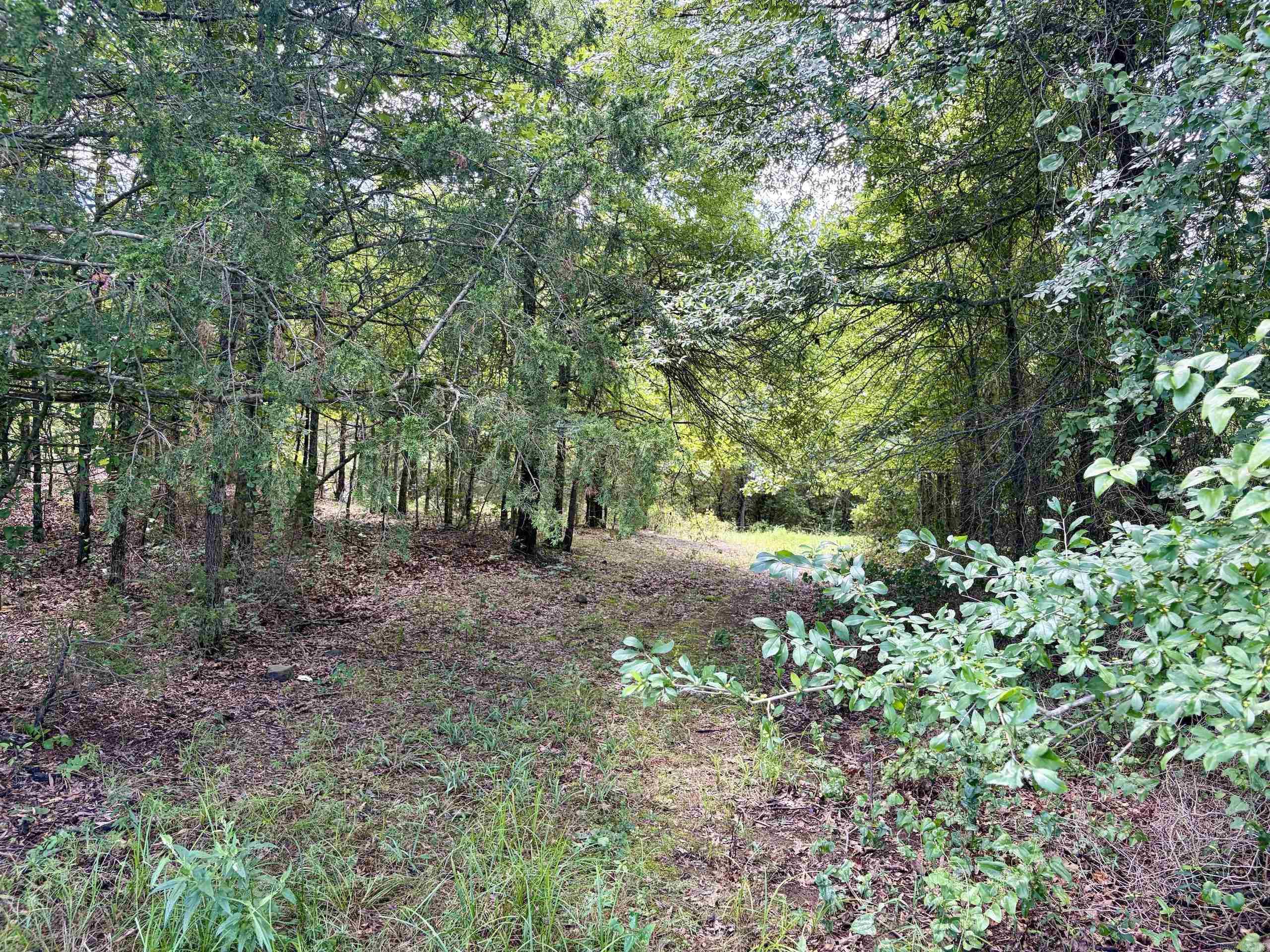 000 HWY 28  Ola, AR