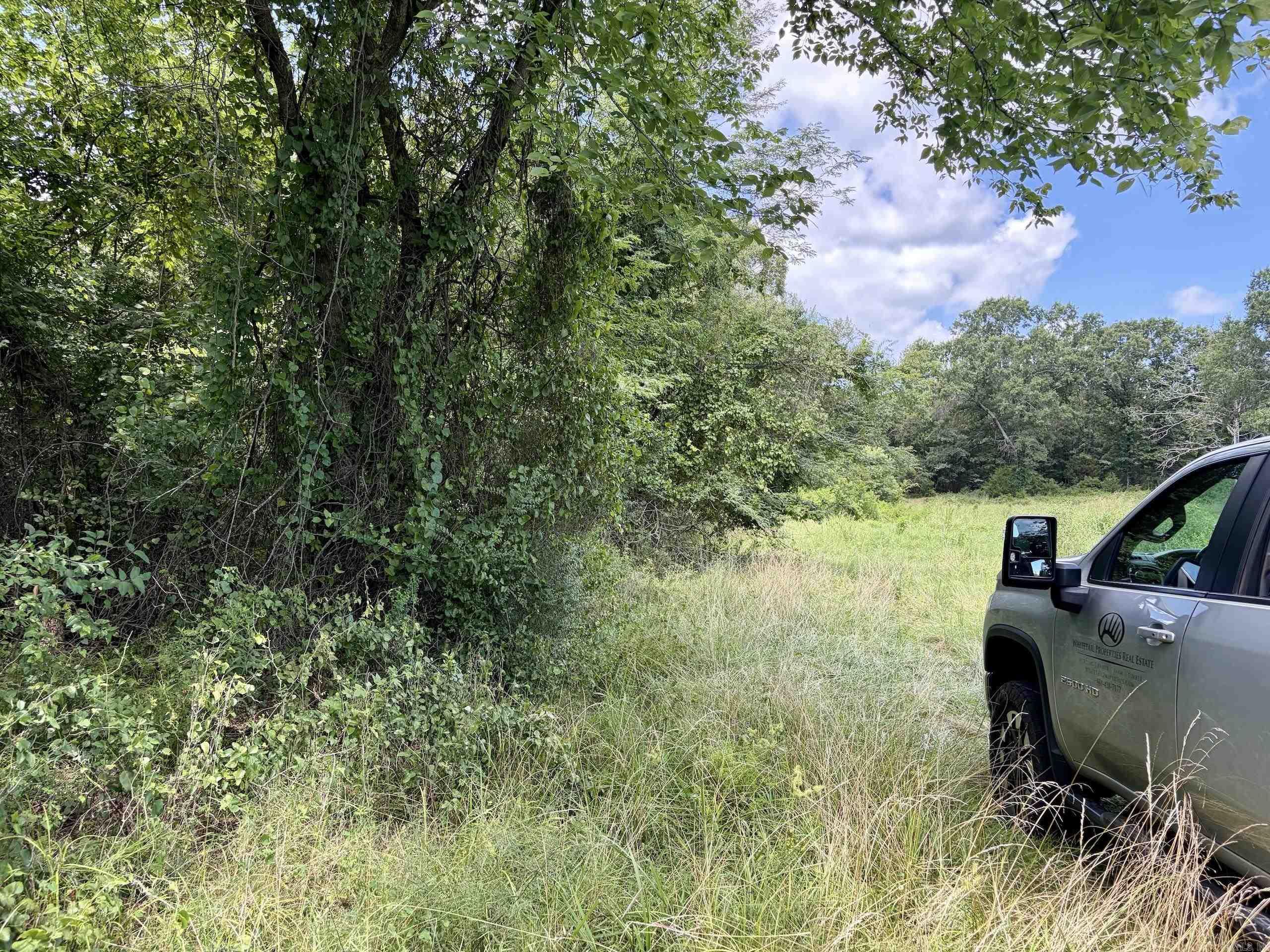 000 HWY 28  Ola, AR