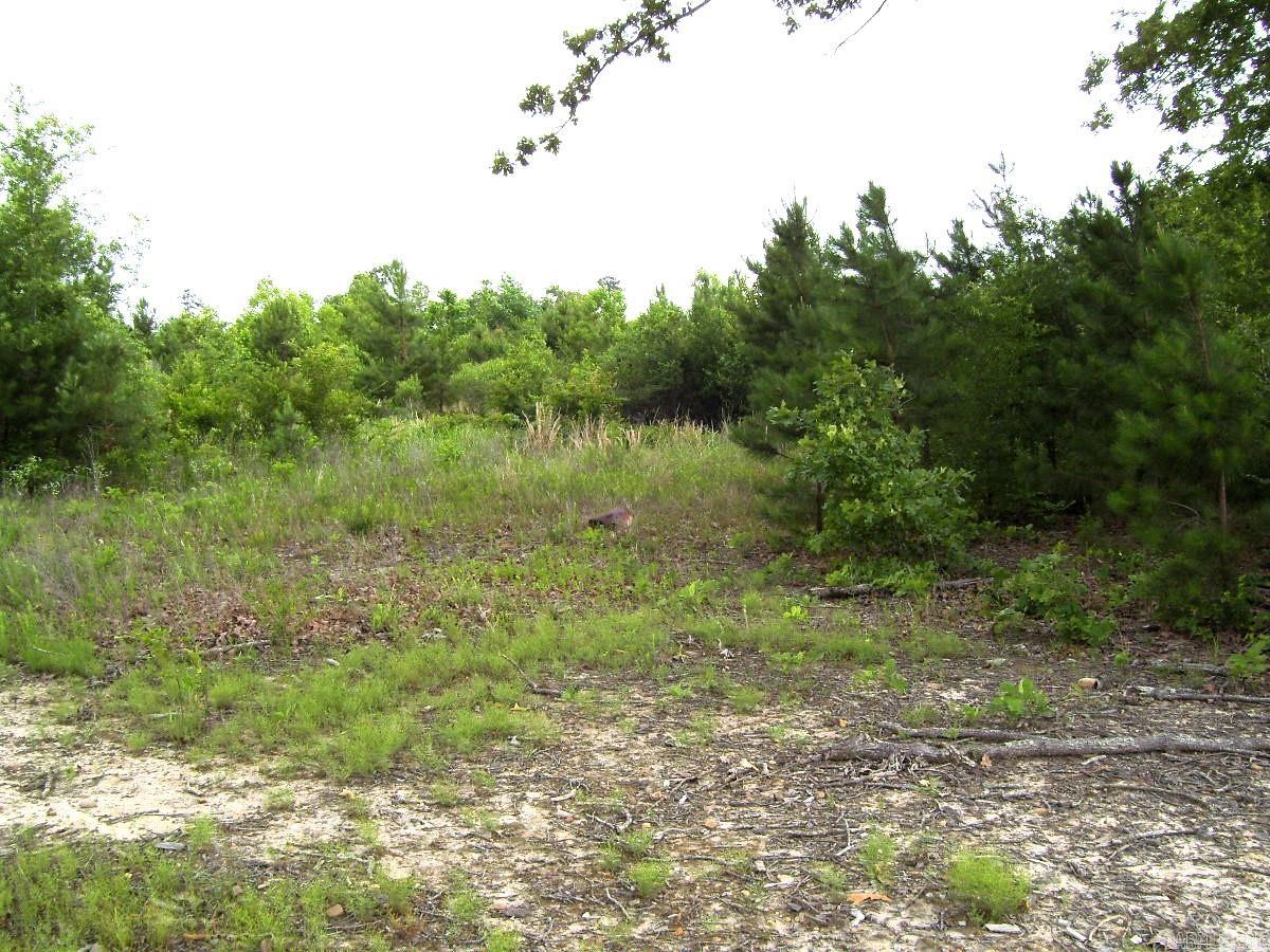 118 LR 27  Ashdown, AR