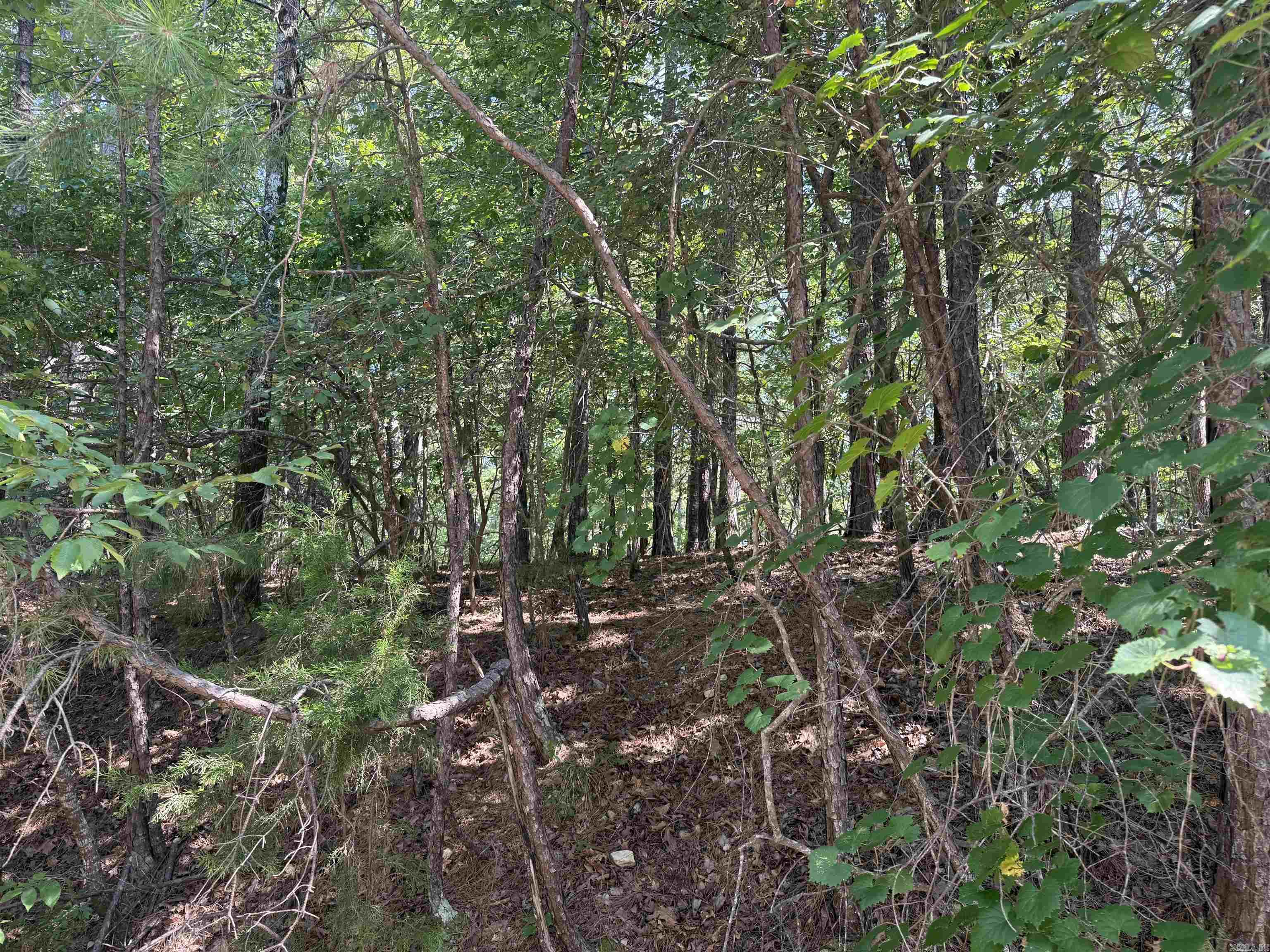 Lot 11 Fenix  Hot Springs Village, AR