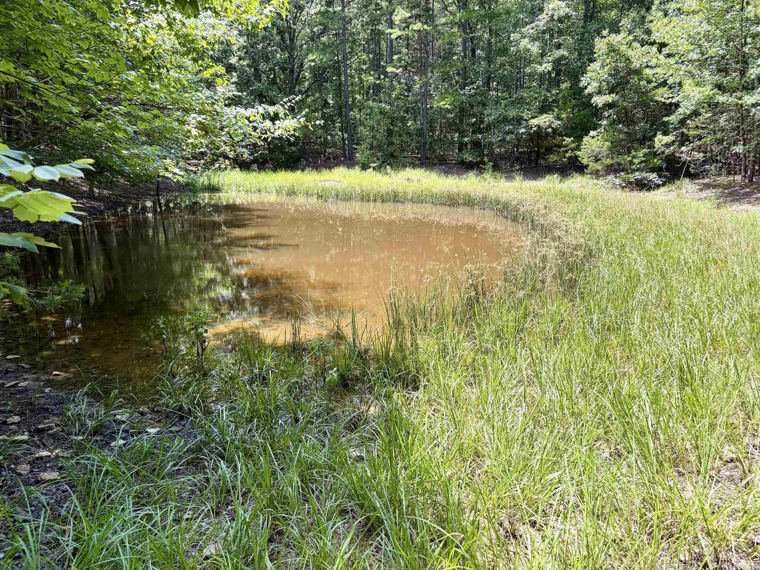 000 Bee Branch Road  Quitman, AR