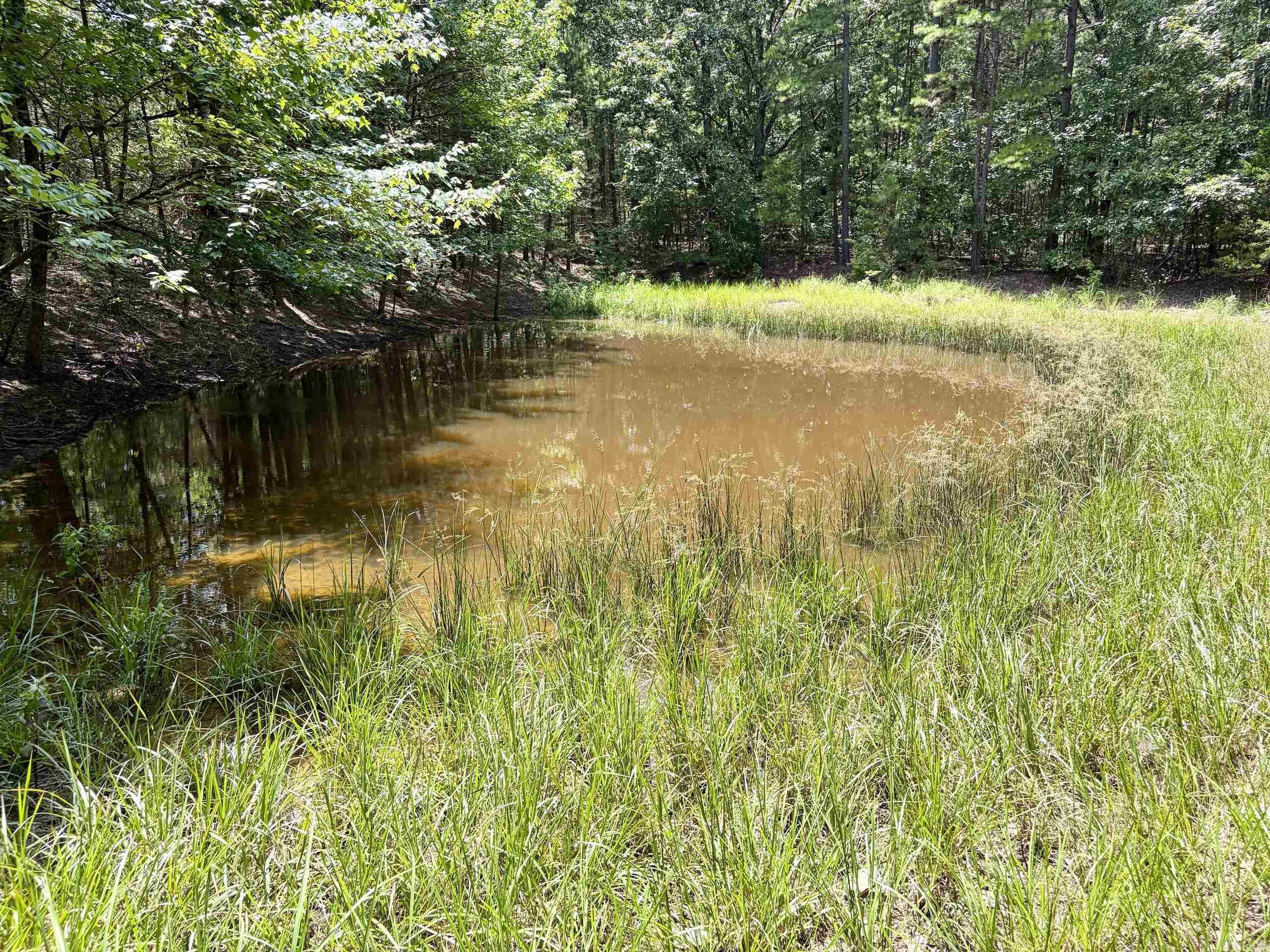 000 Bee Branch Road  Quitman, AR