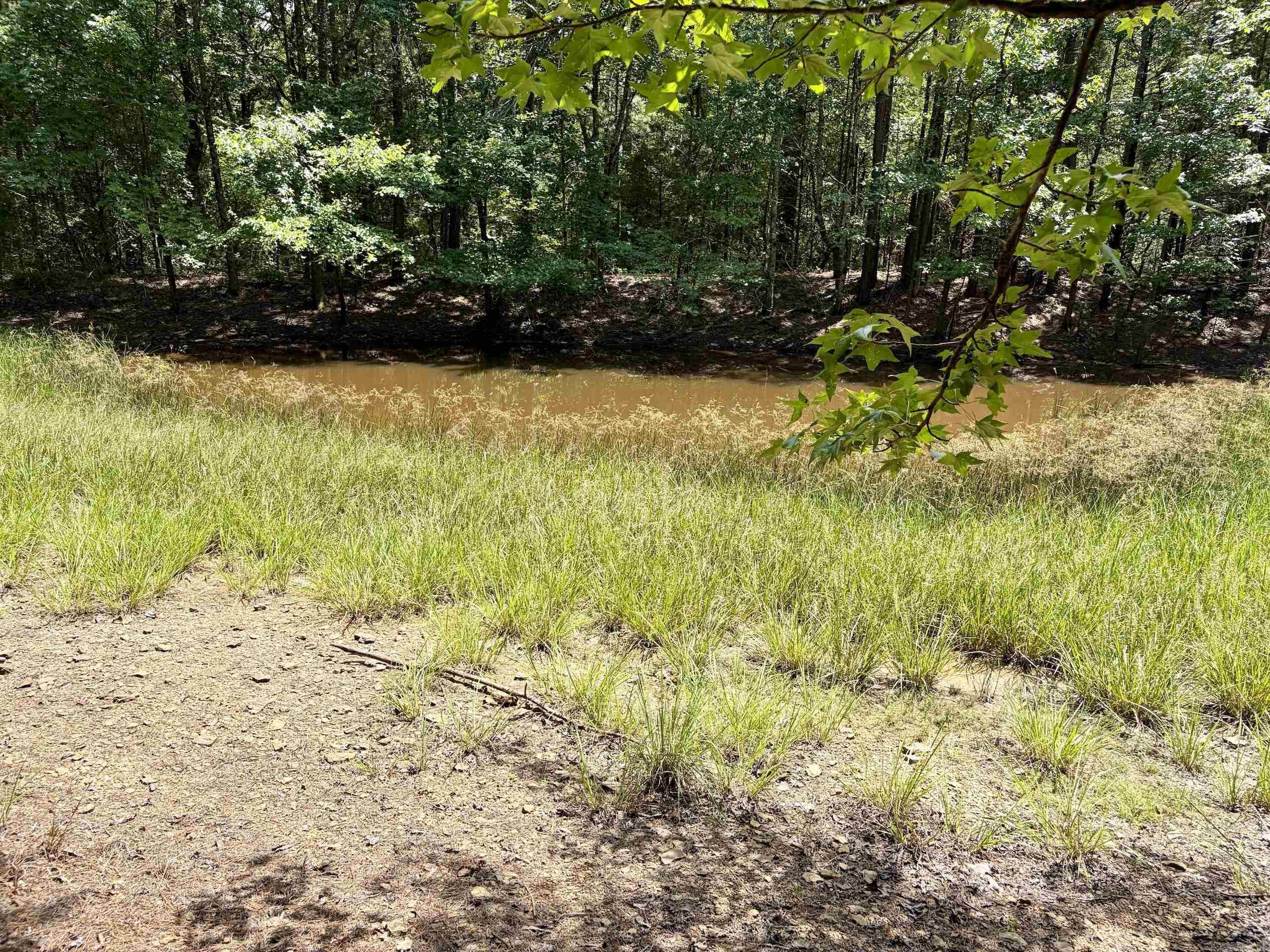 000 Bee Branch Road  Quitman, AR