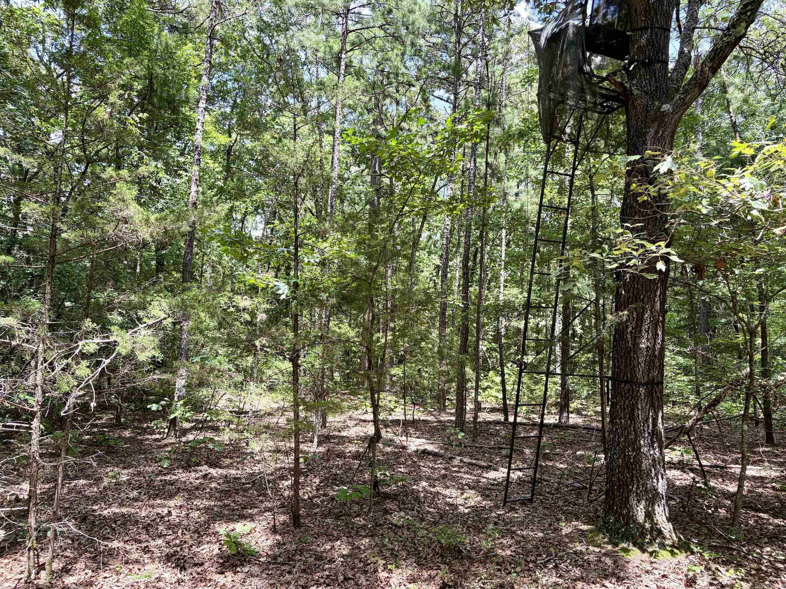000 Bee Branch Road  Quitman, AR