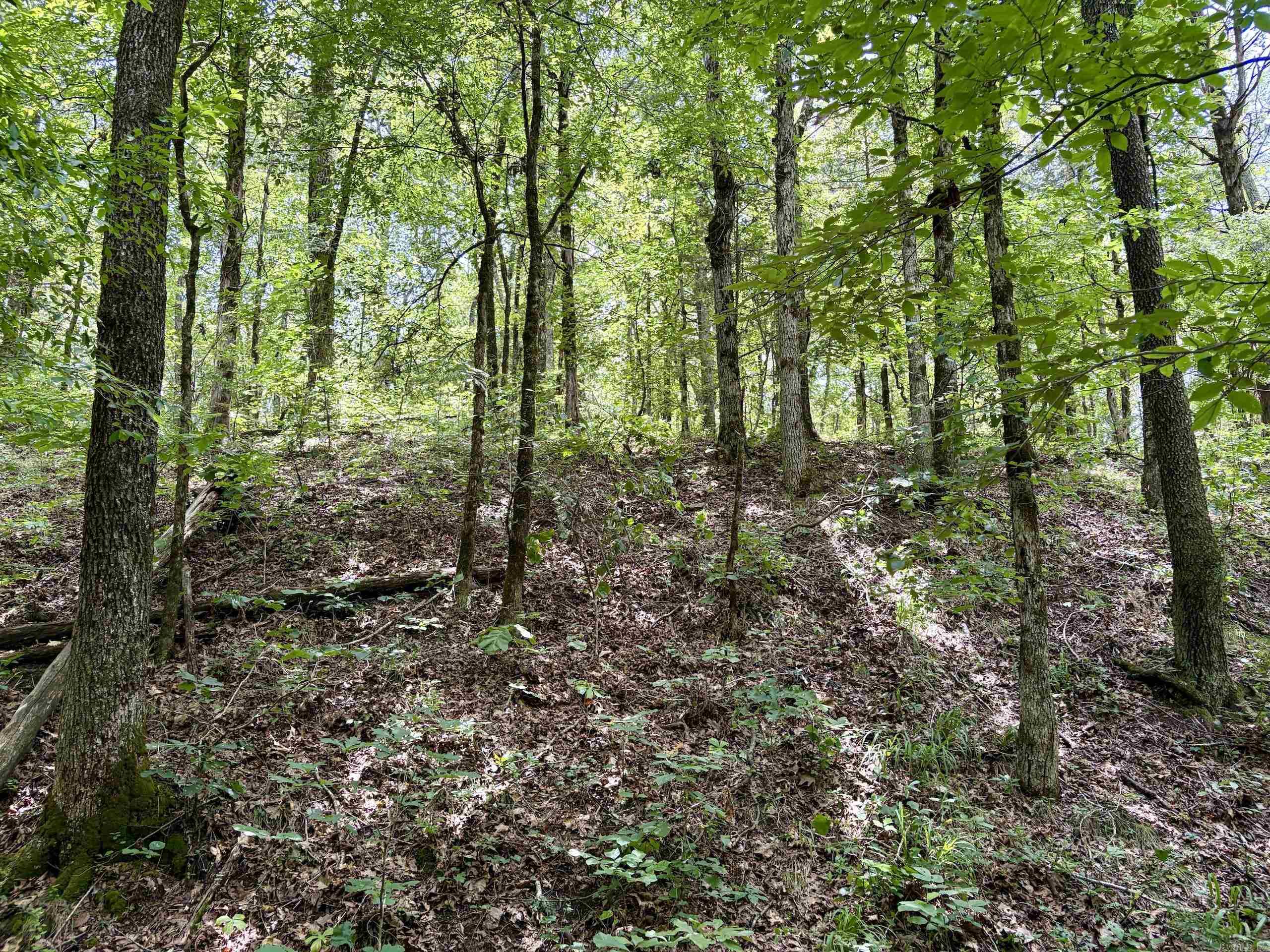 000 Bee Branch Road  Quitman, AR