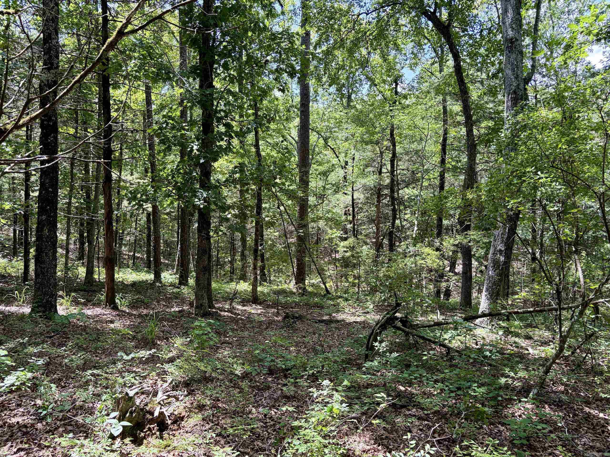 000 Bee Branch Road  Quitman, AR