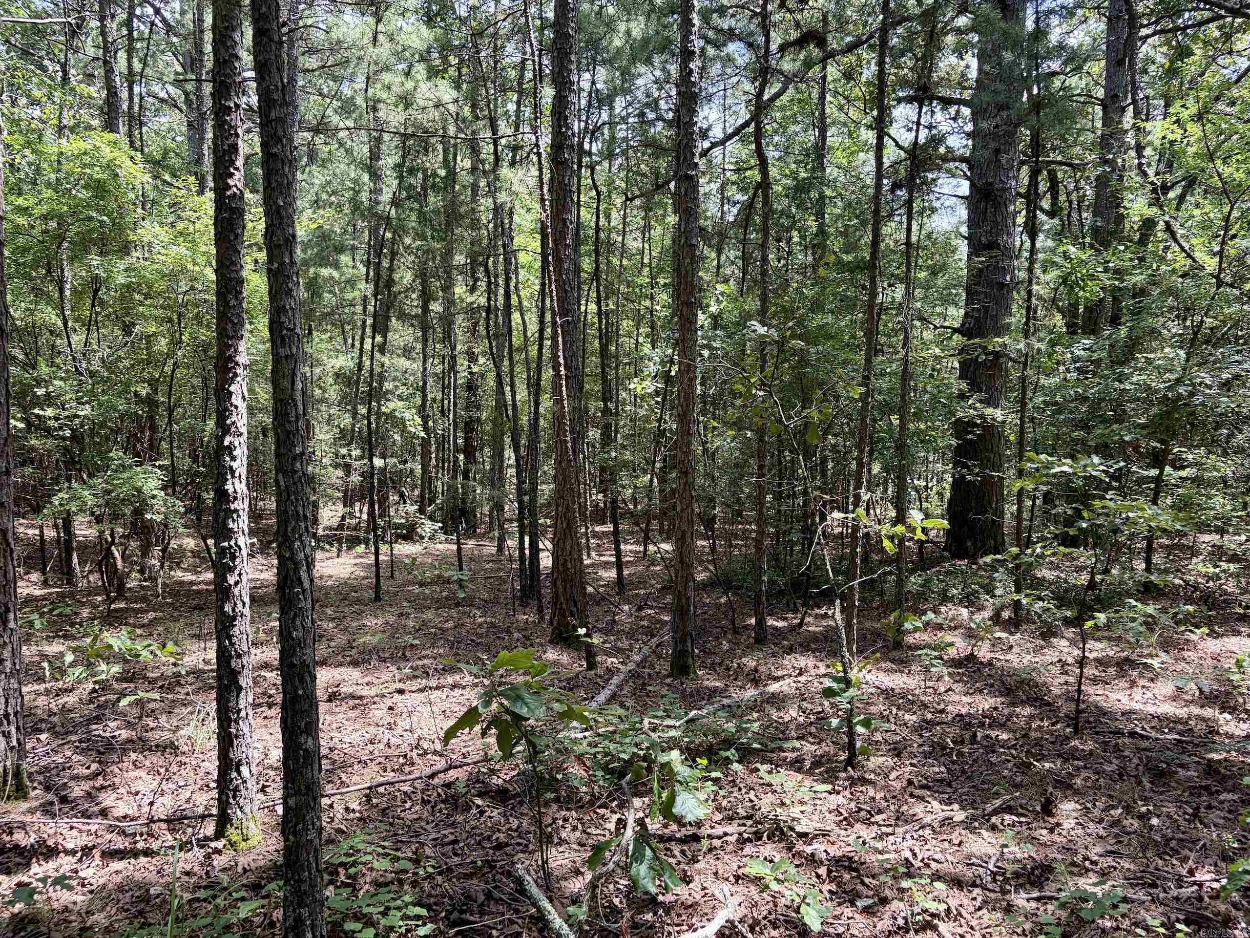 000 Bee Branch Road  Quitman, AR