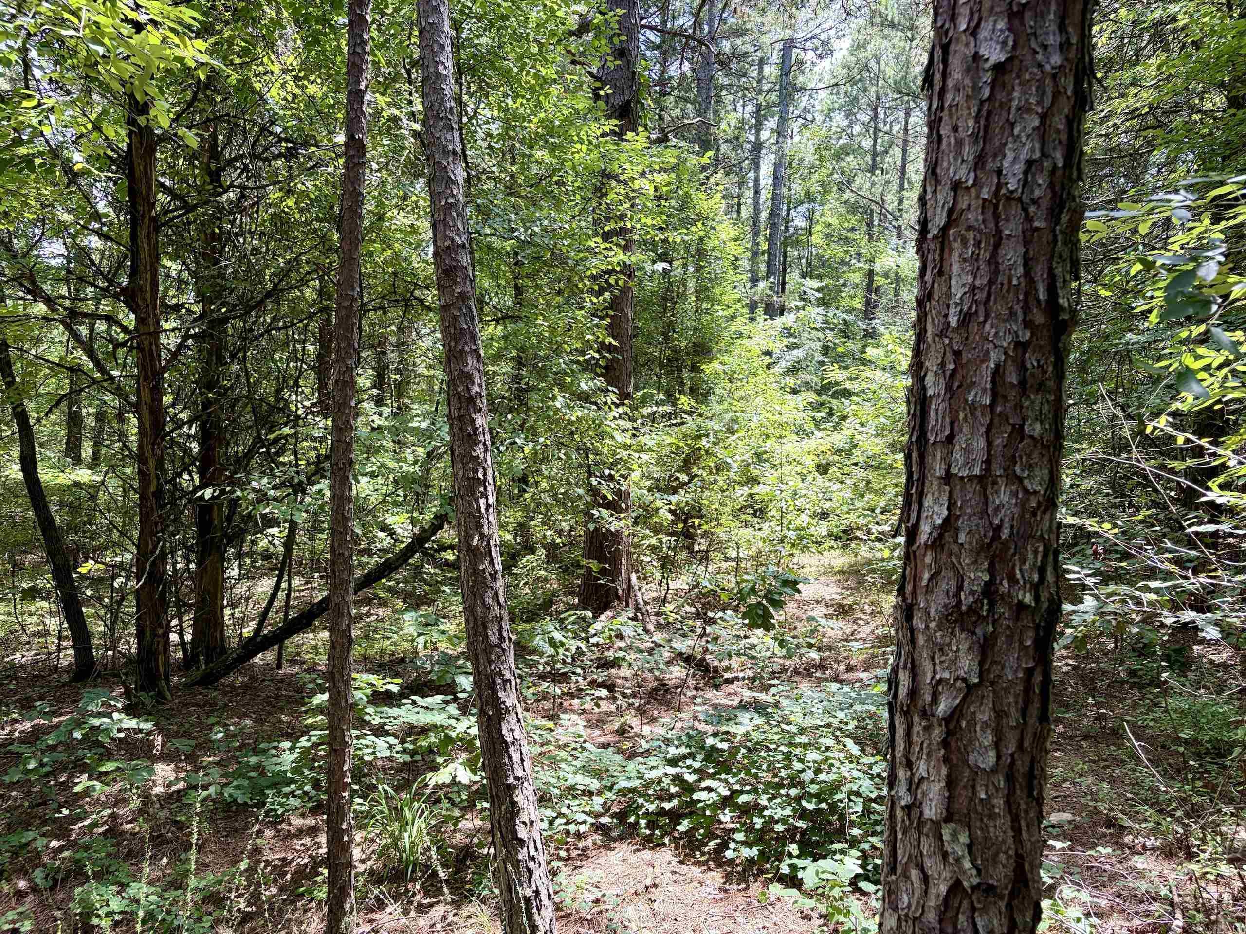 000 Bee Branch Road  Quitman, AR