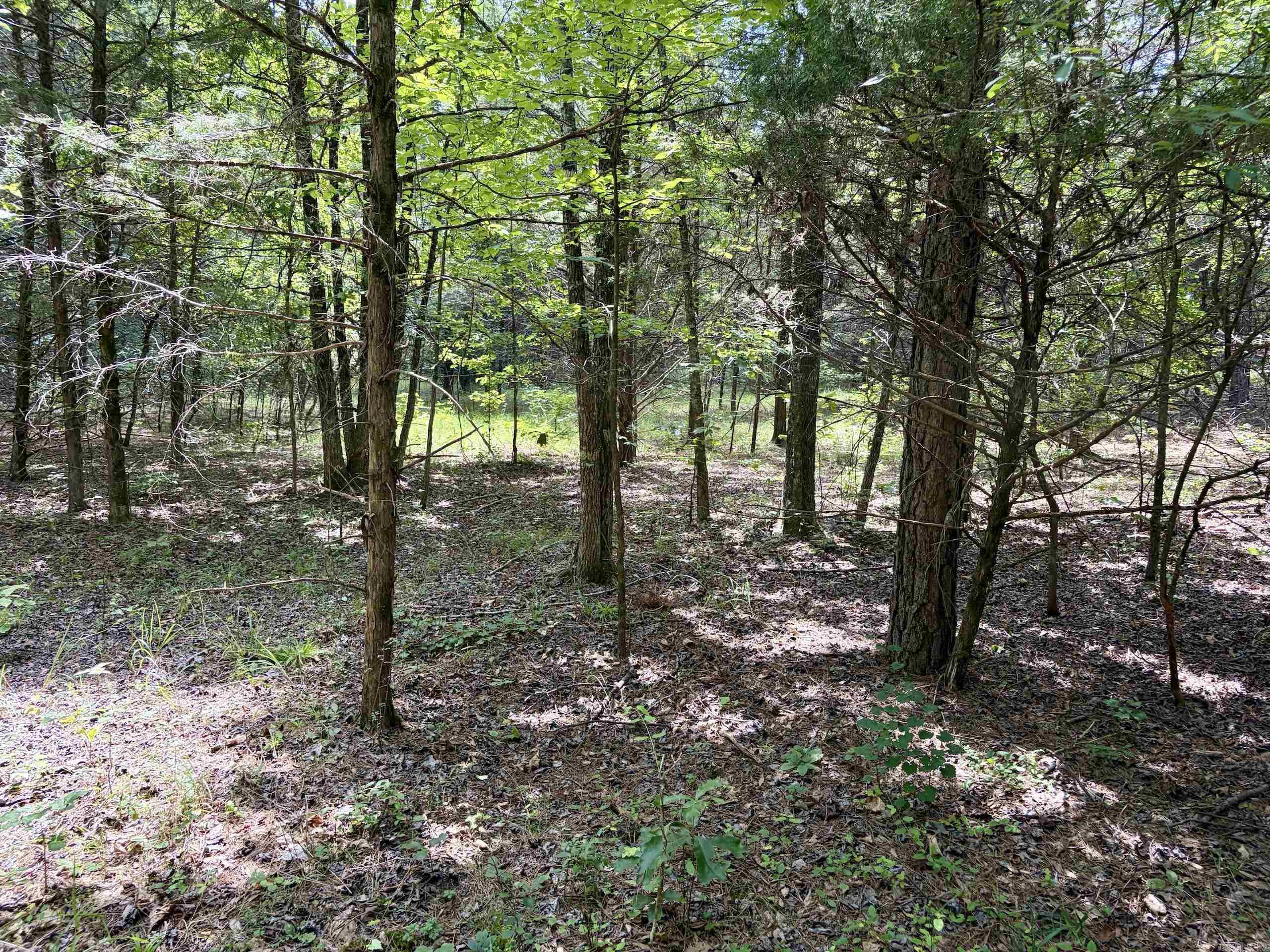 000 Bee Branch Road  Quitman, AR