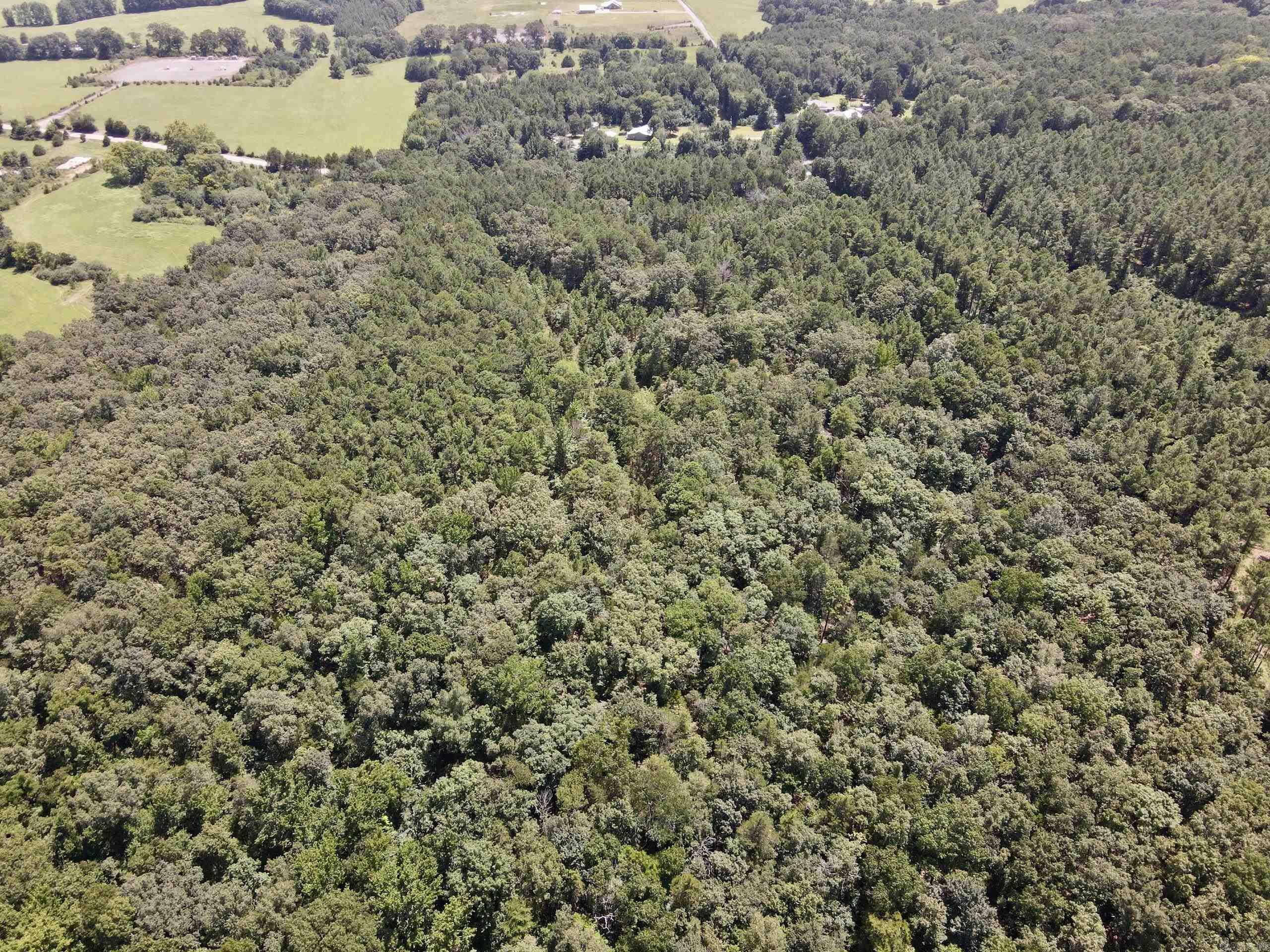 000 Bee Branch Road  Quitman, AR