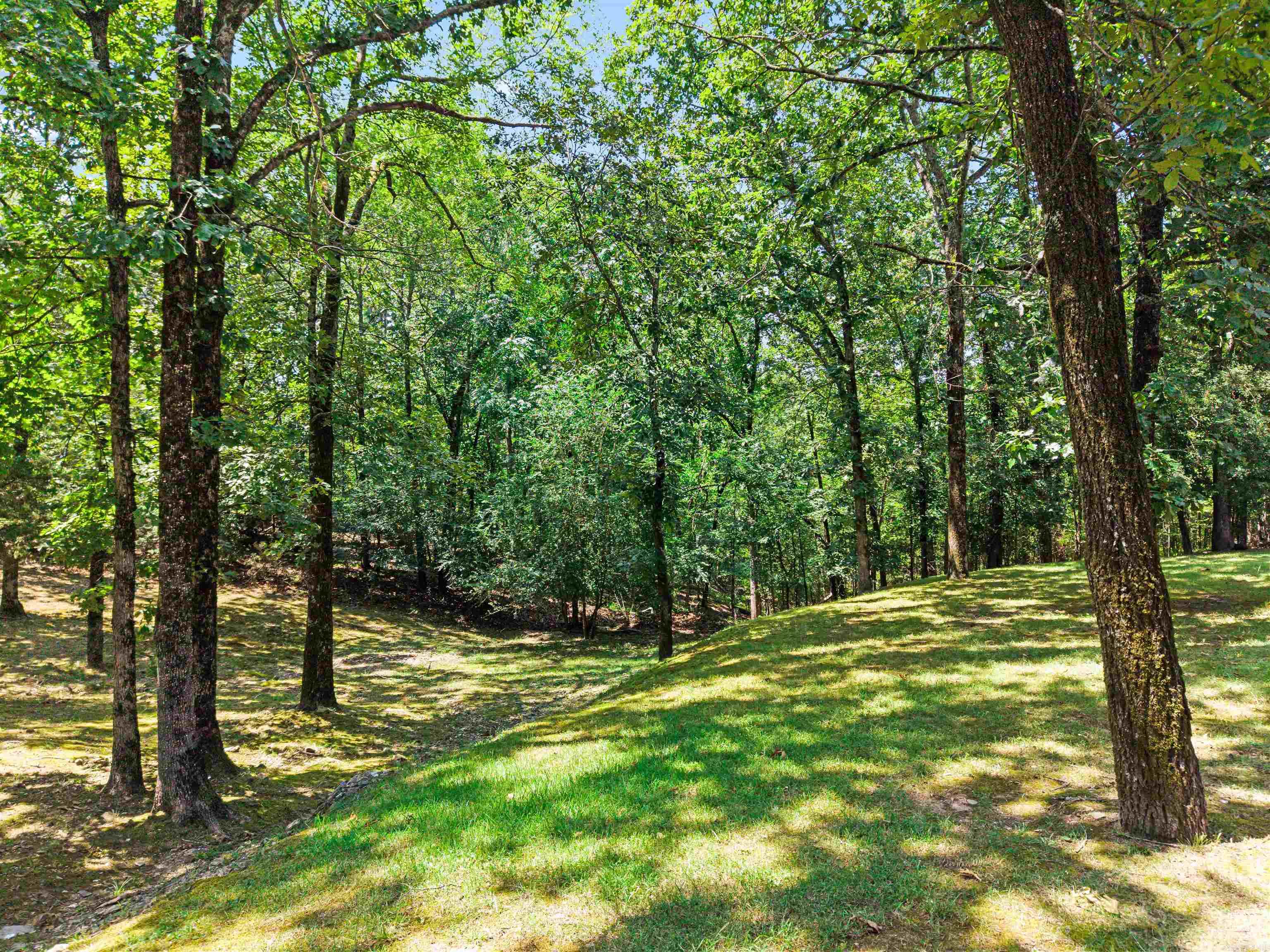 185 Hillside  Hot Springs, AR