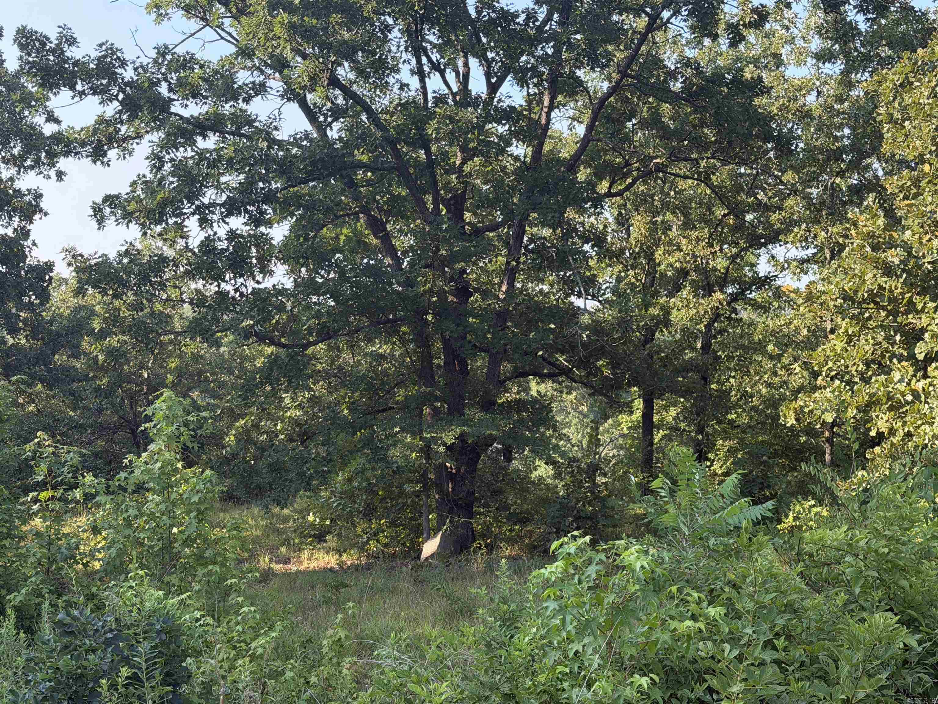 000 Lale Ridge Estates  Searcy, AR