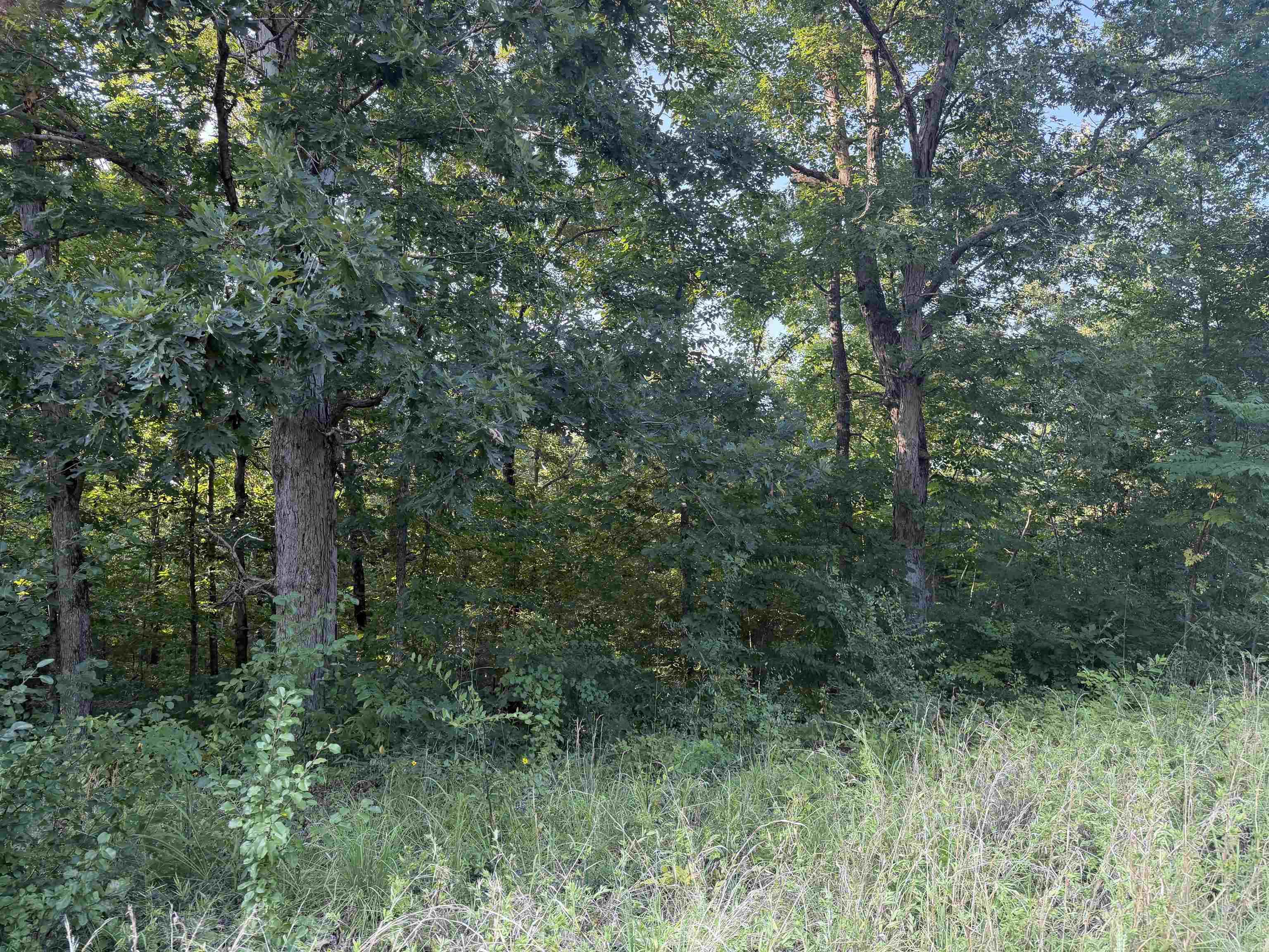 000 Lale Ridge Estates  Searcy, AR