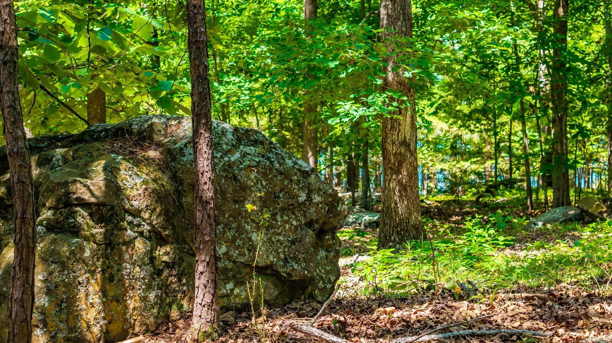 513 Stony Ridge Rd  Heber Springs, AR