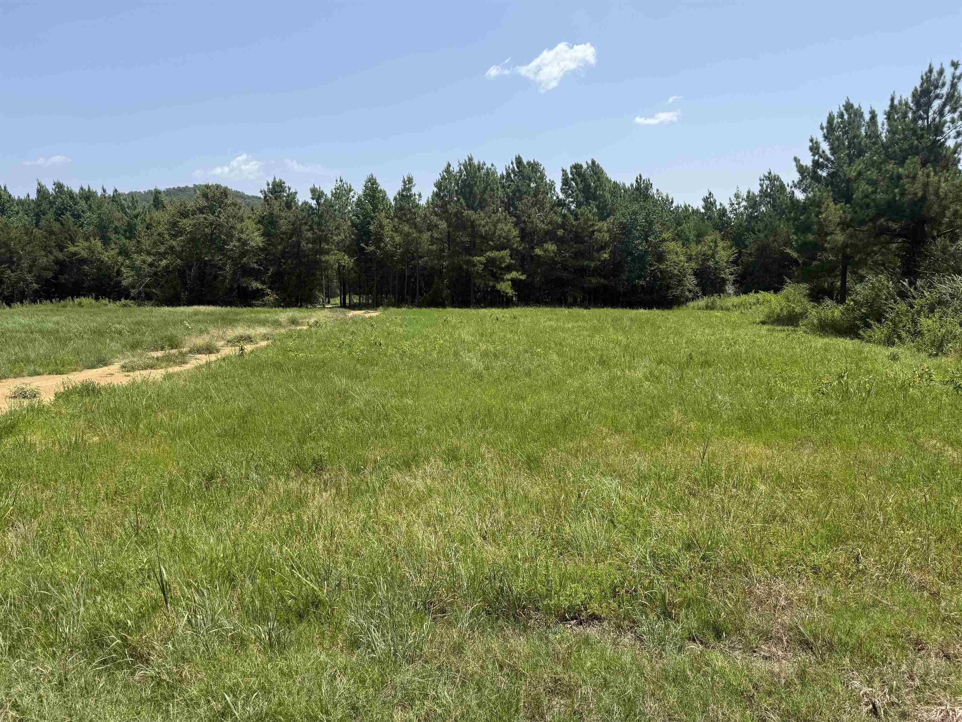  5883 Hwy 123  Lamar, AR