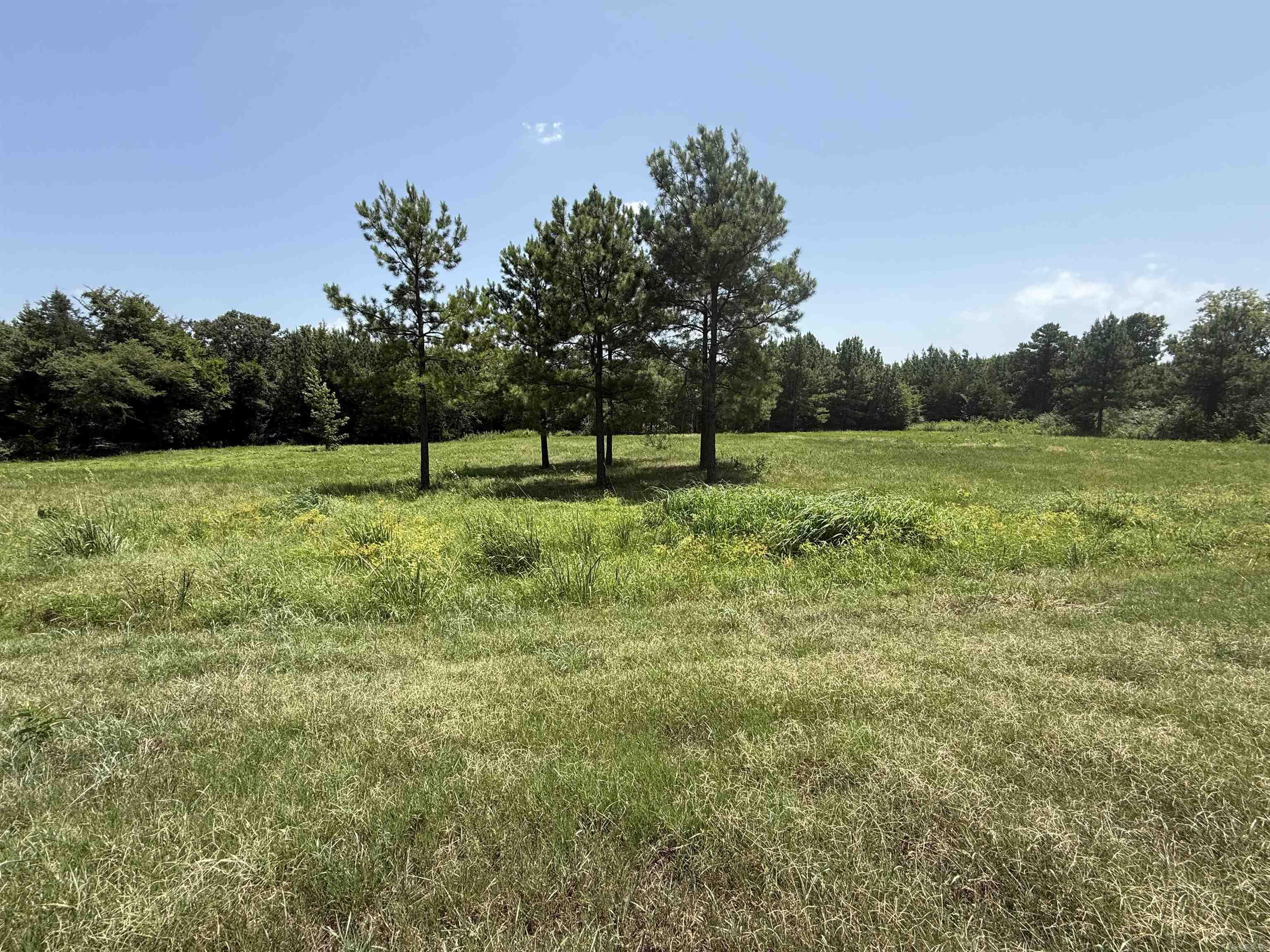  5883 Hwy 123  Lamar, AR