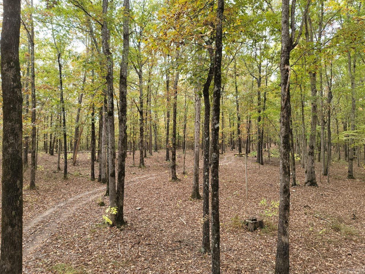 10823 Wylllia  Benton, AR