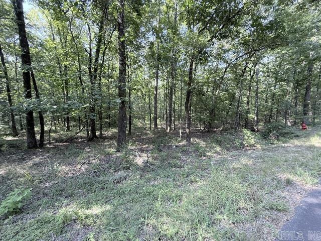 19 Claro  Hot Springs Village, AR