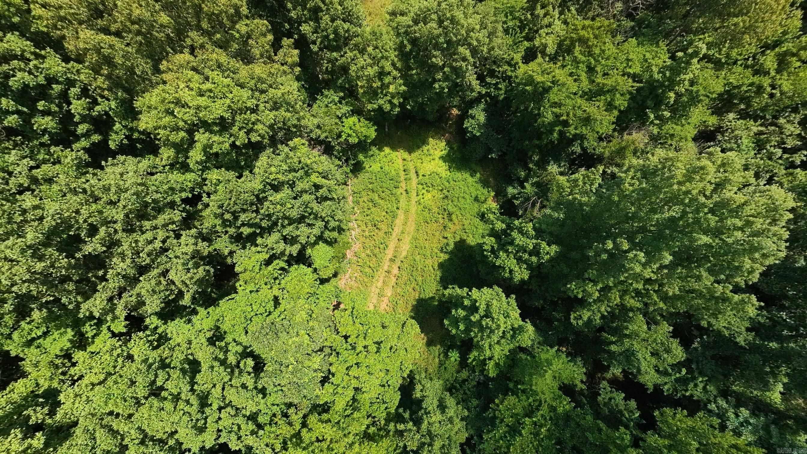 Tract 4 Upper Janes Creek  Ravenden, AR