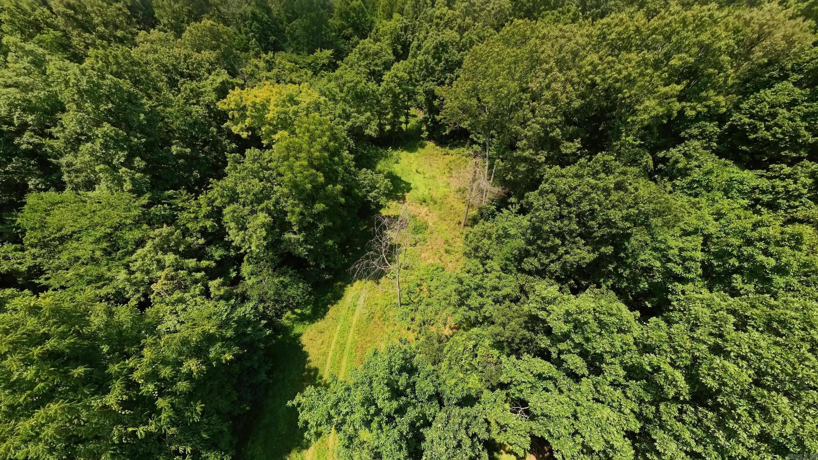 Tract 4 Upper Janes Creek  Ravenden, AR