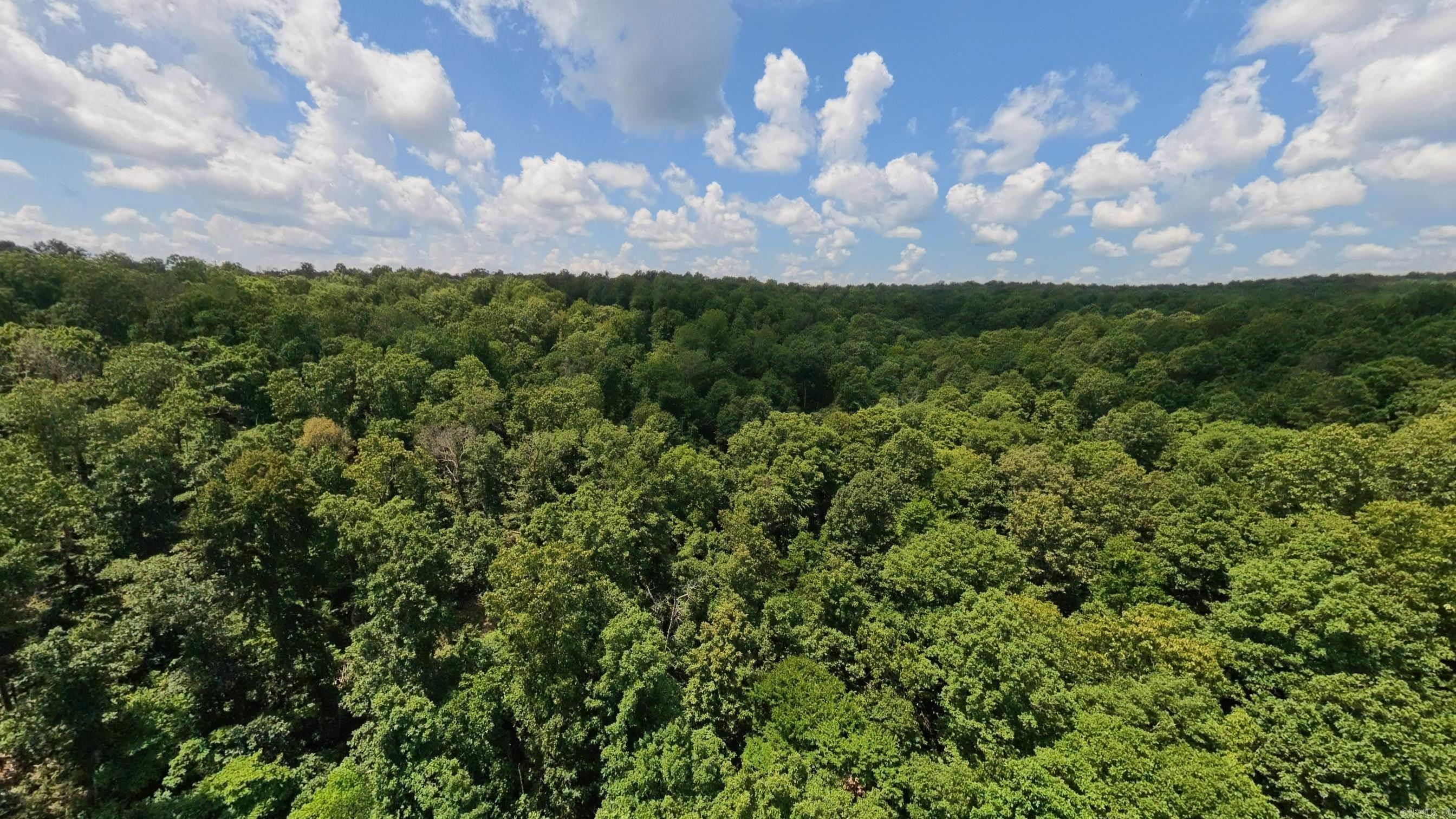 Tract 4 Upper Janes Creek  Ravenden, AR