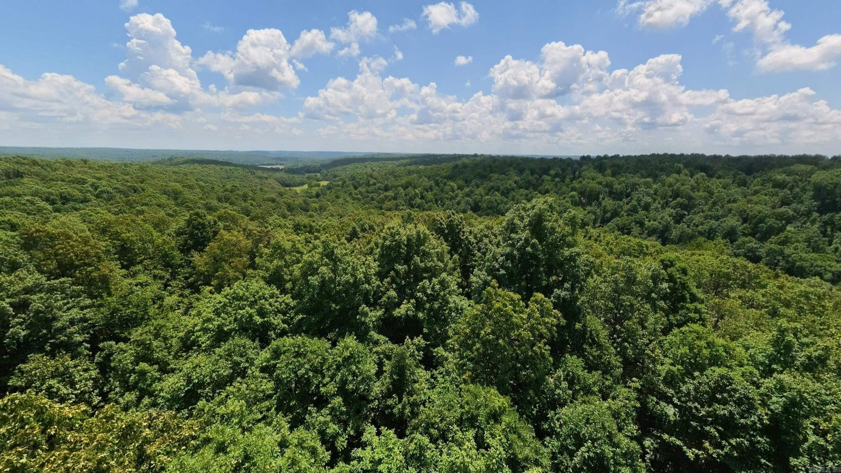 Tract 4 Upper Janes Creek  Ravenden, AR