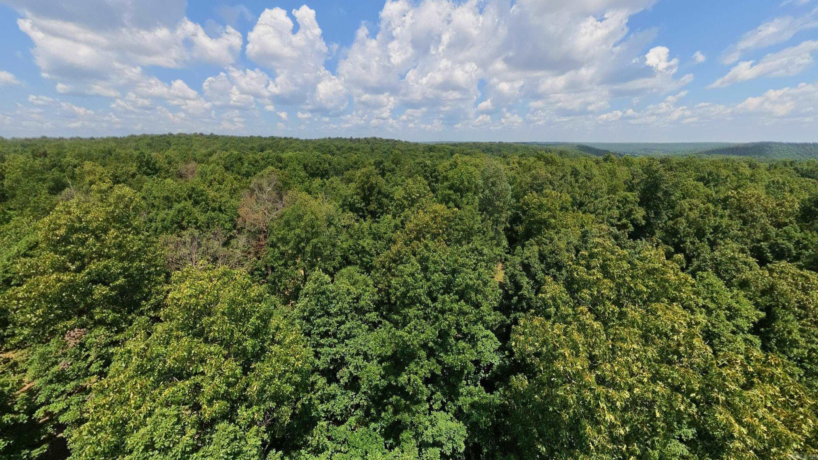 Tract 4 Upper Janes Creek  Ravenden, AR
