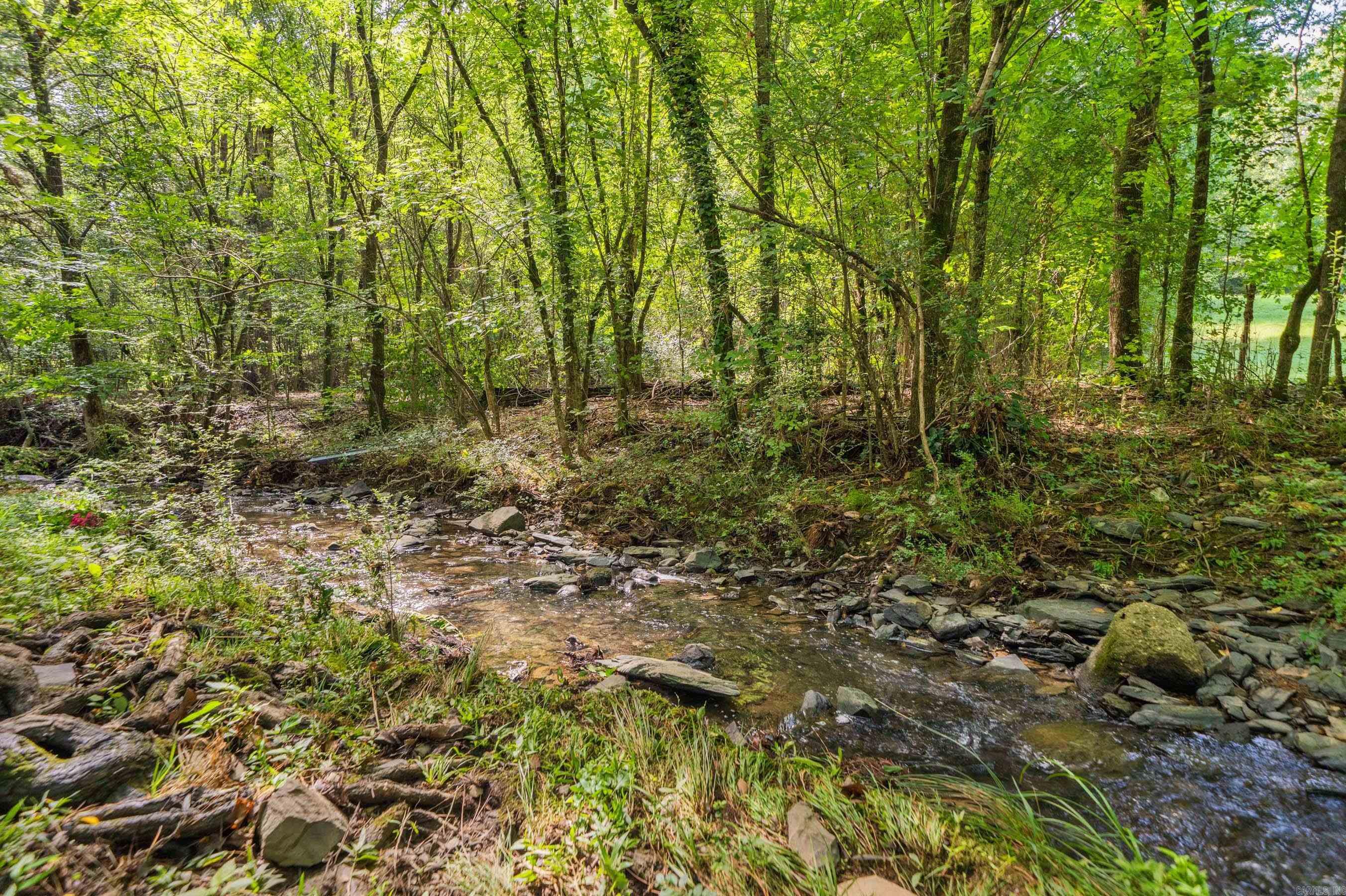 205 Millbranch  Hot Springs, AR