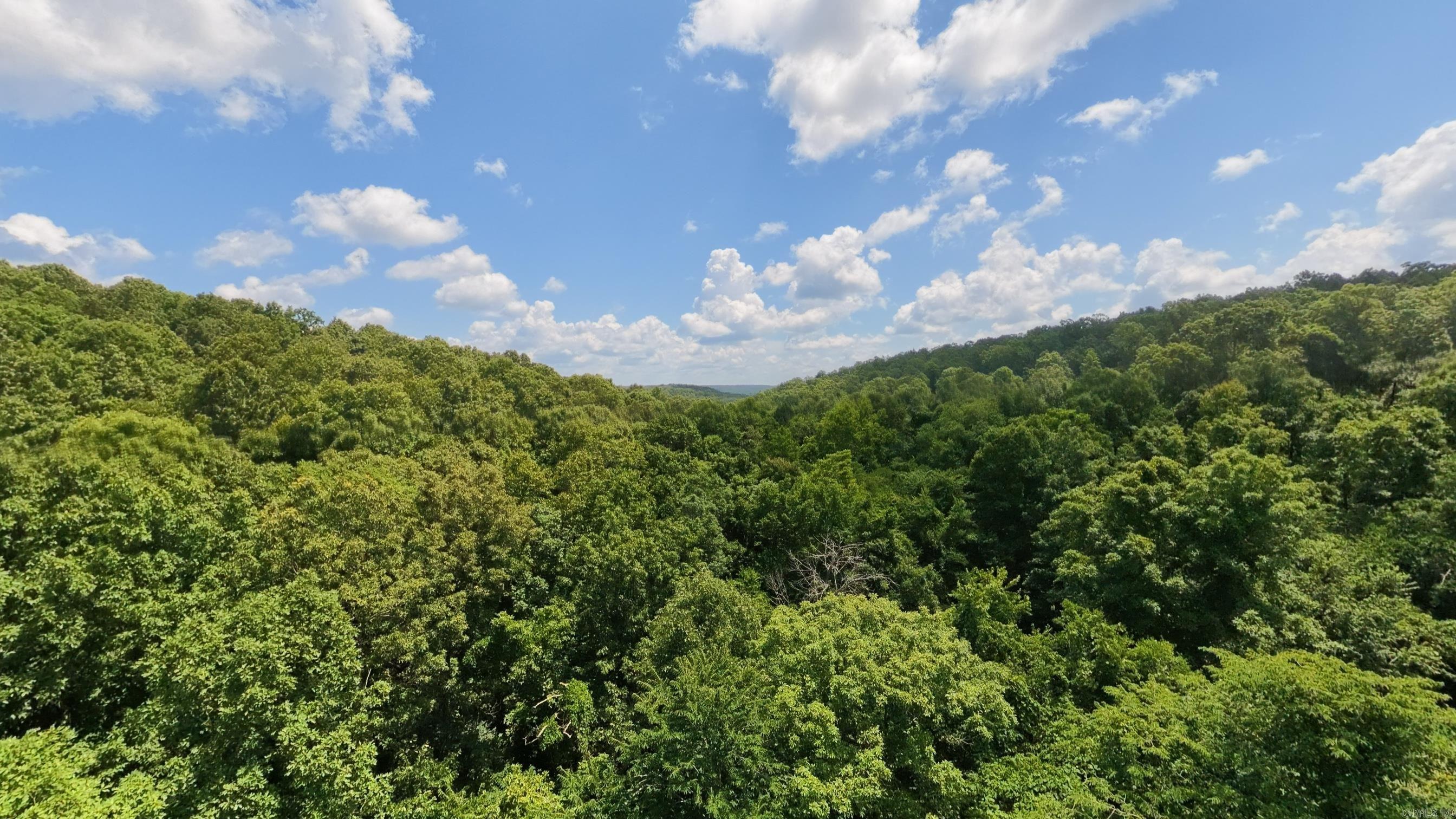 Tract 3 Upper Janes Creek  Ravenden, AR