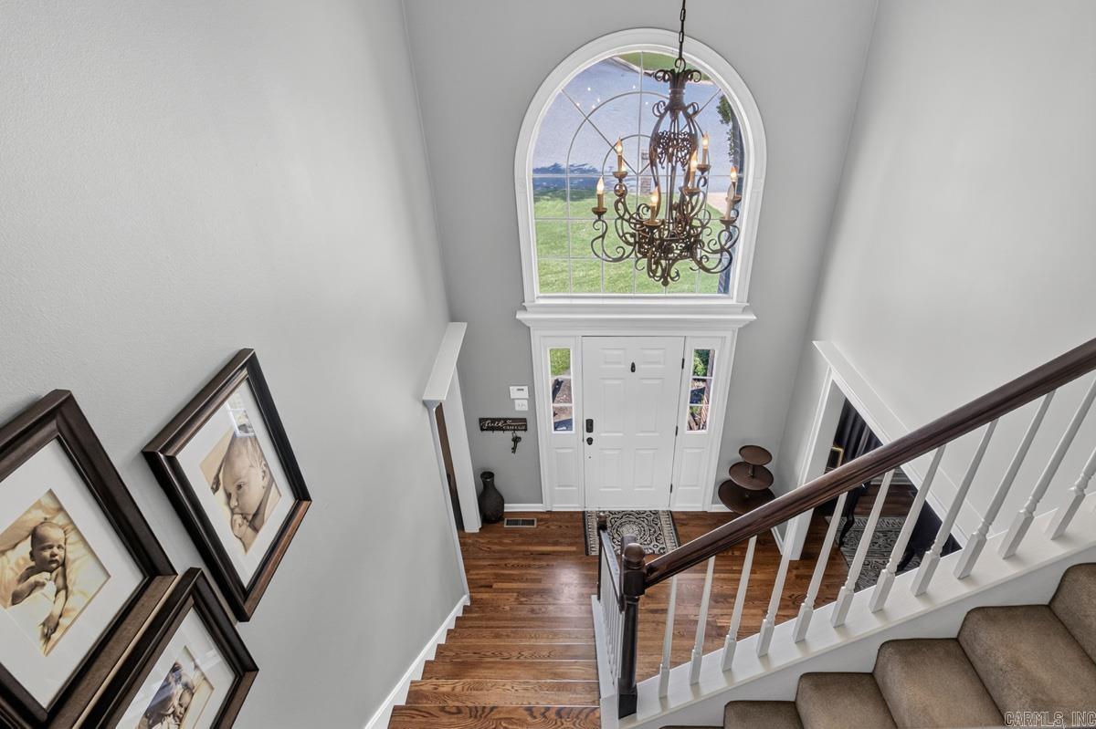 21 Honey Bear  Little Rock, AR