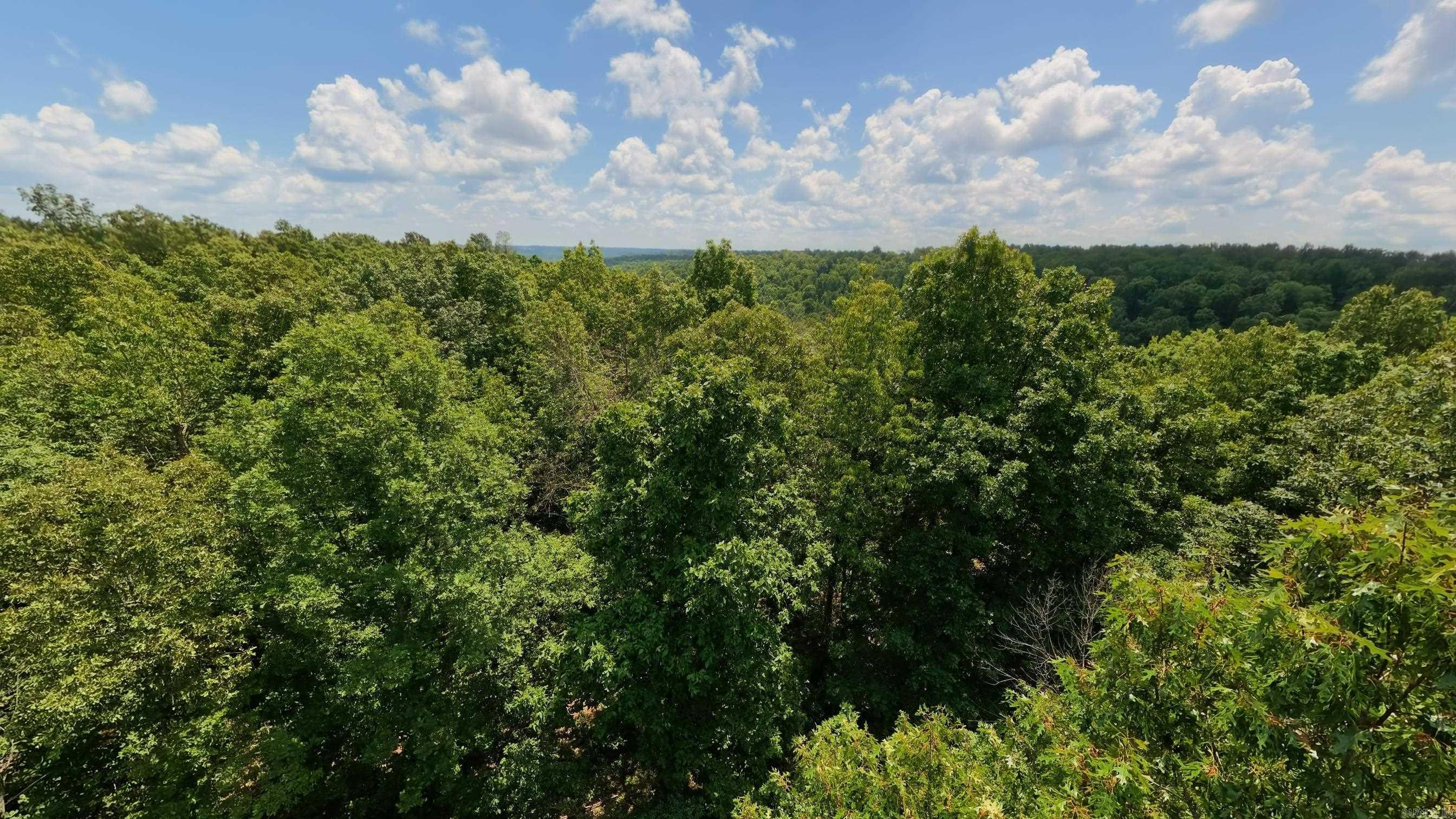 Tract 5 Upper Janes Creek  Ravenden, AR
