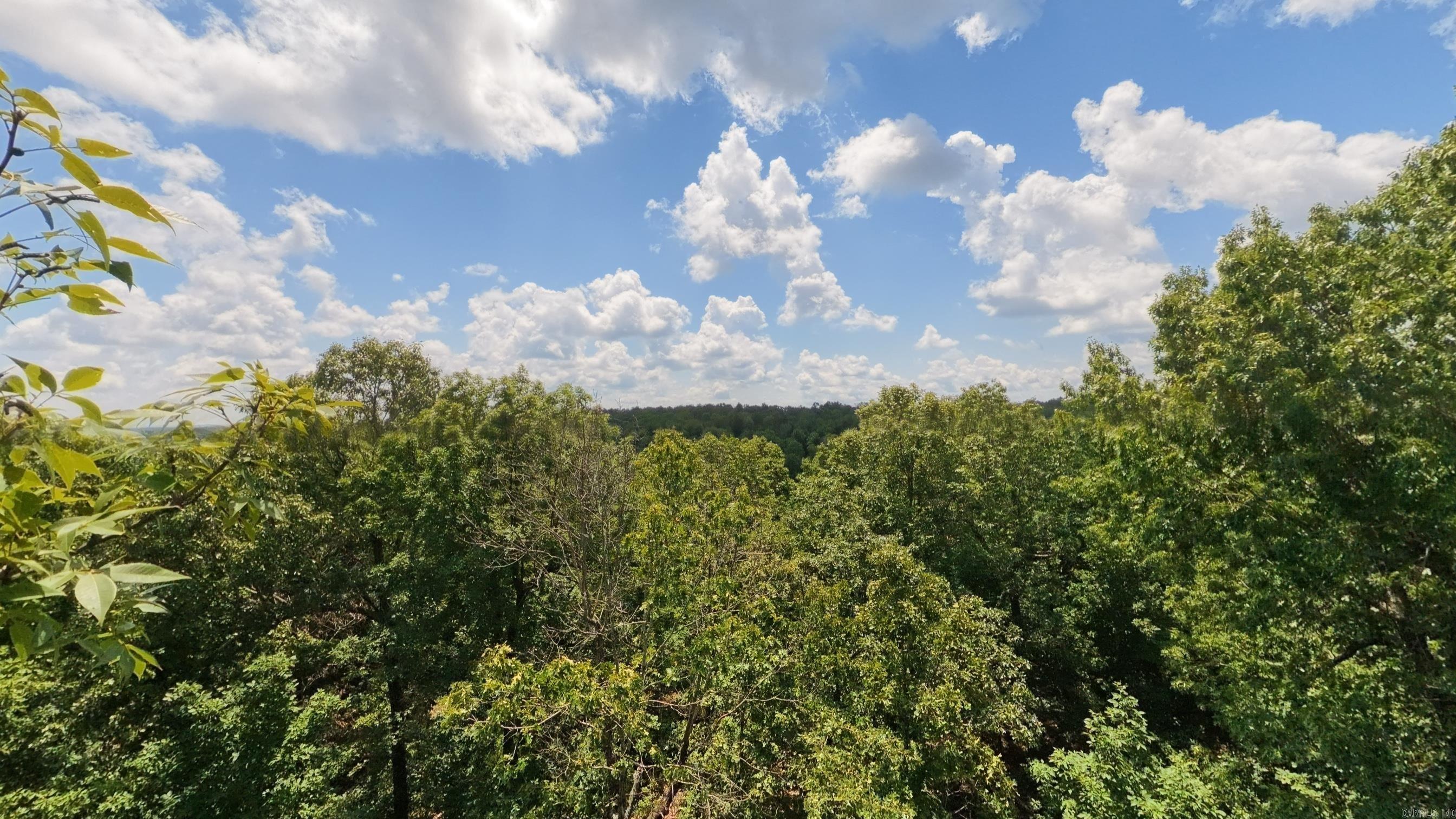 Tract 5 Upper Janes Creek  Ravenden, AR