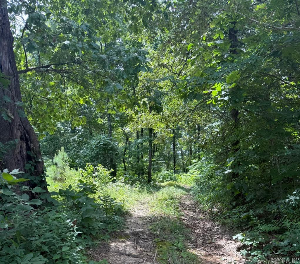324 County Road 426  Rector, AR