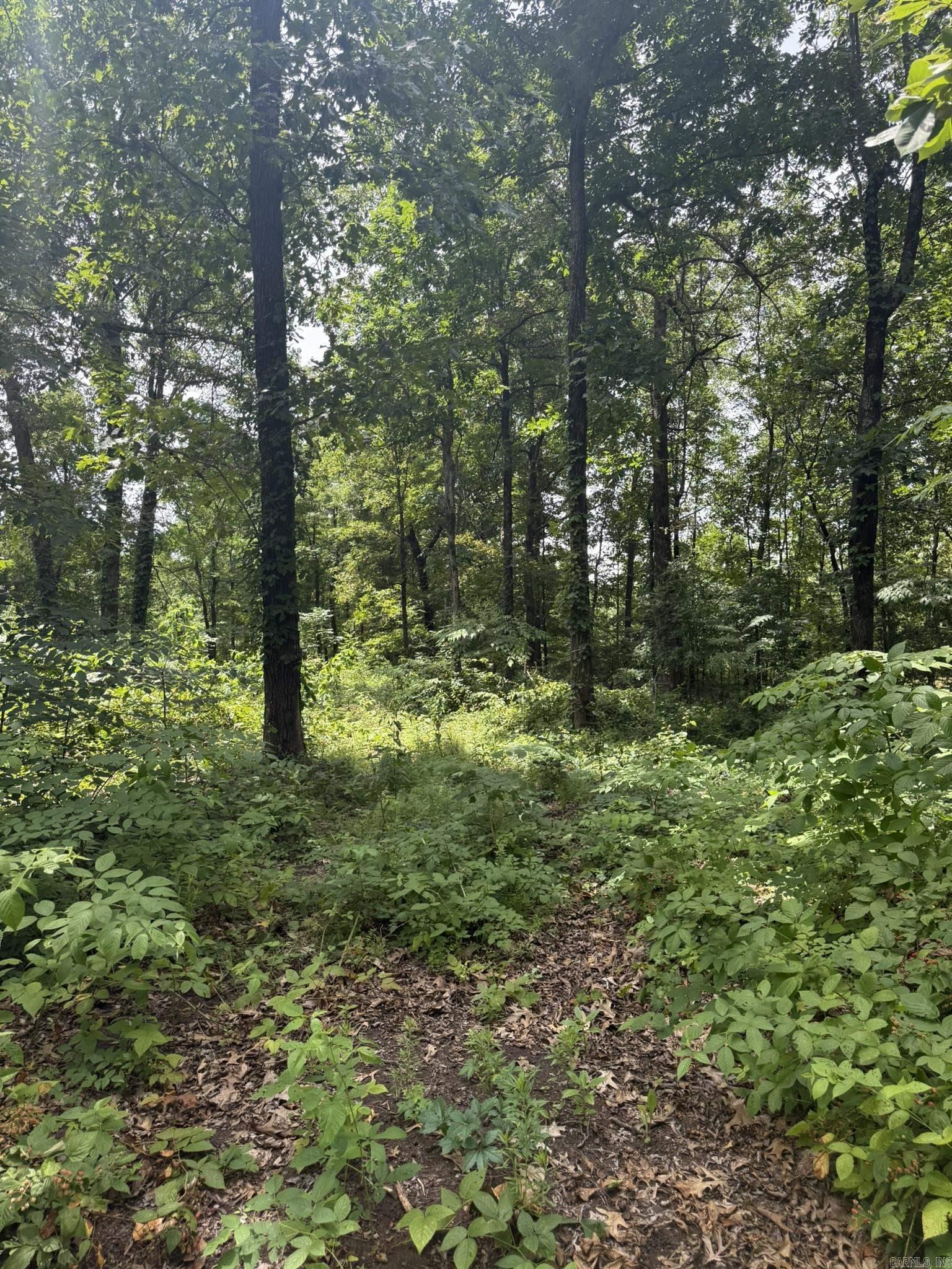 324 County Road 426  Rector, AR