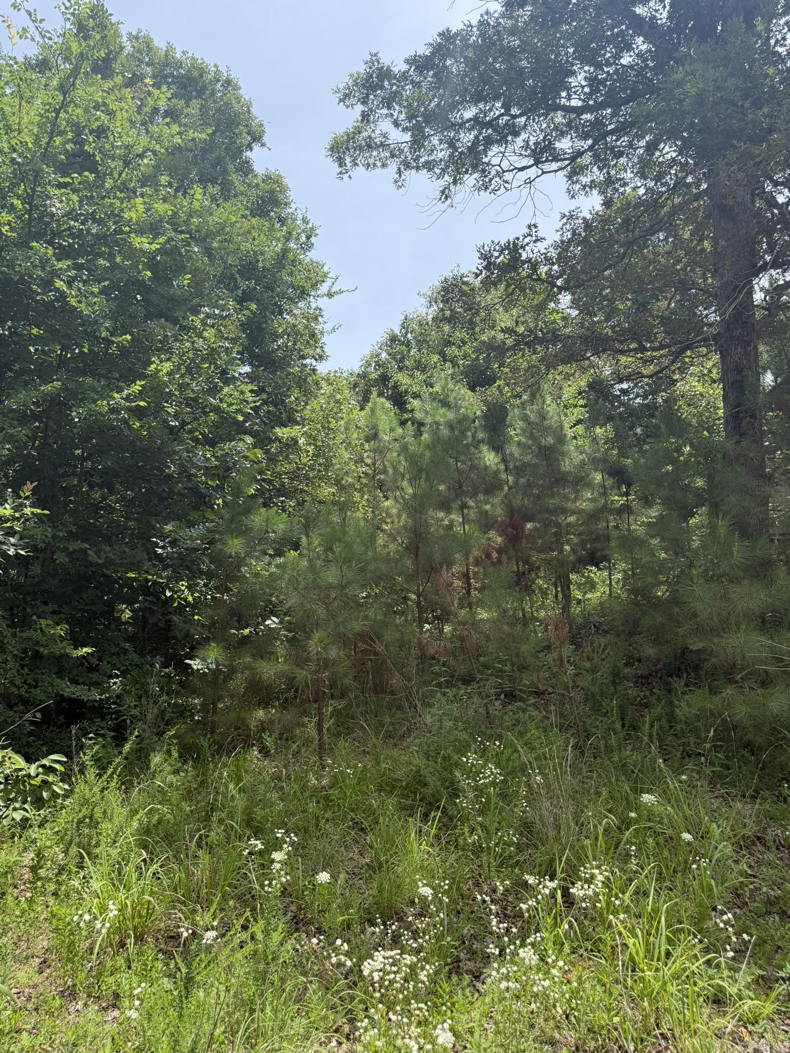 324 County Road 426  Rector, AR