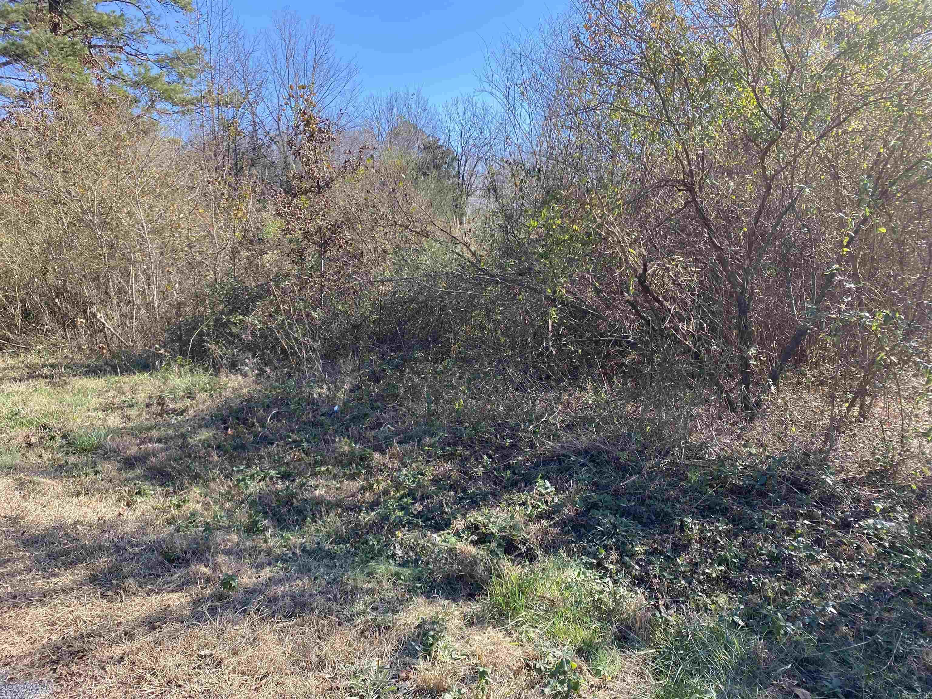 Lot 2 Hazel  Jacksonville, AR