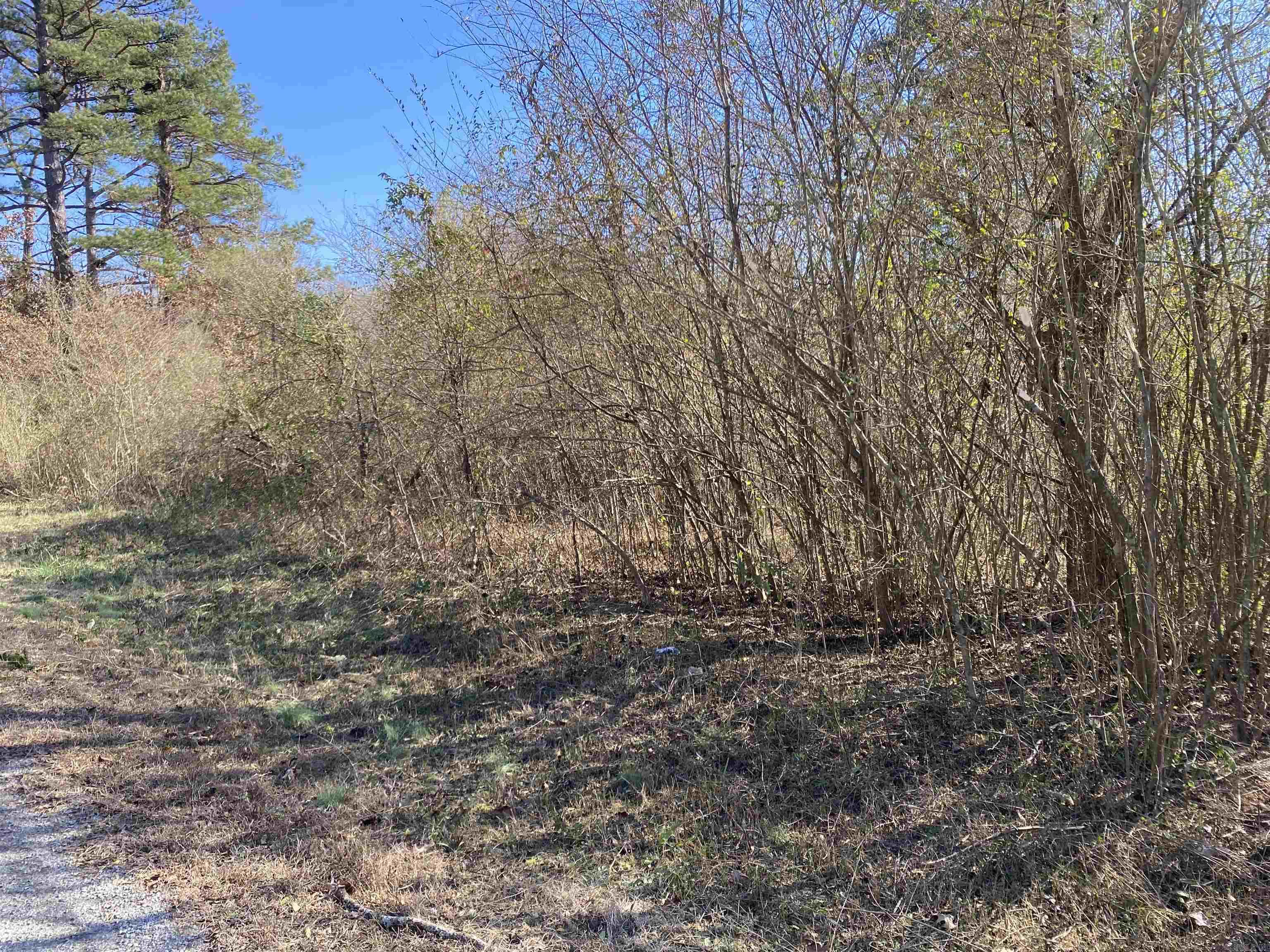 Lot 2 Hazel  Jacksonville, AR