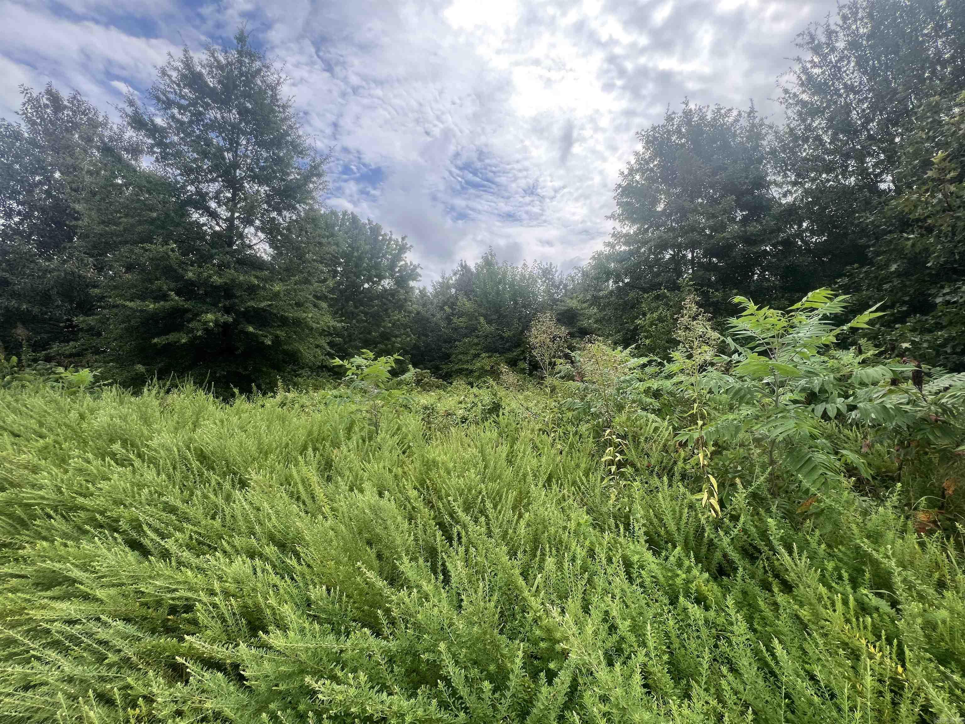 88 1661  Corning, AR
