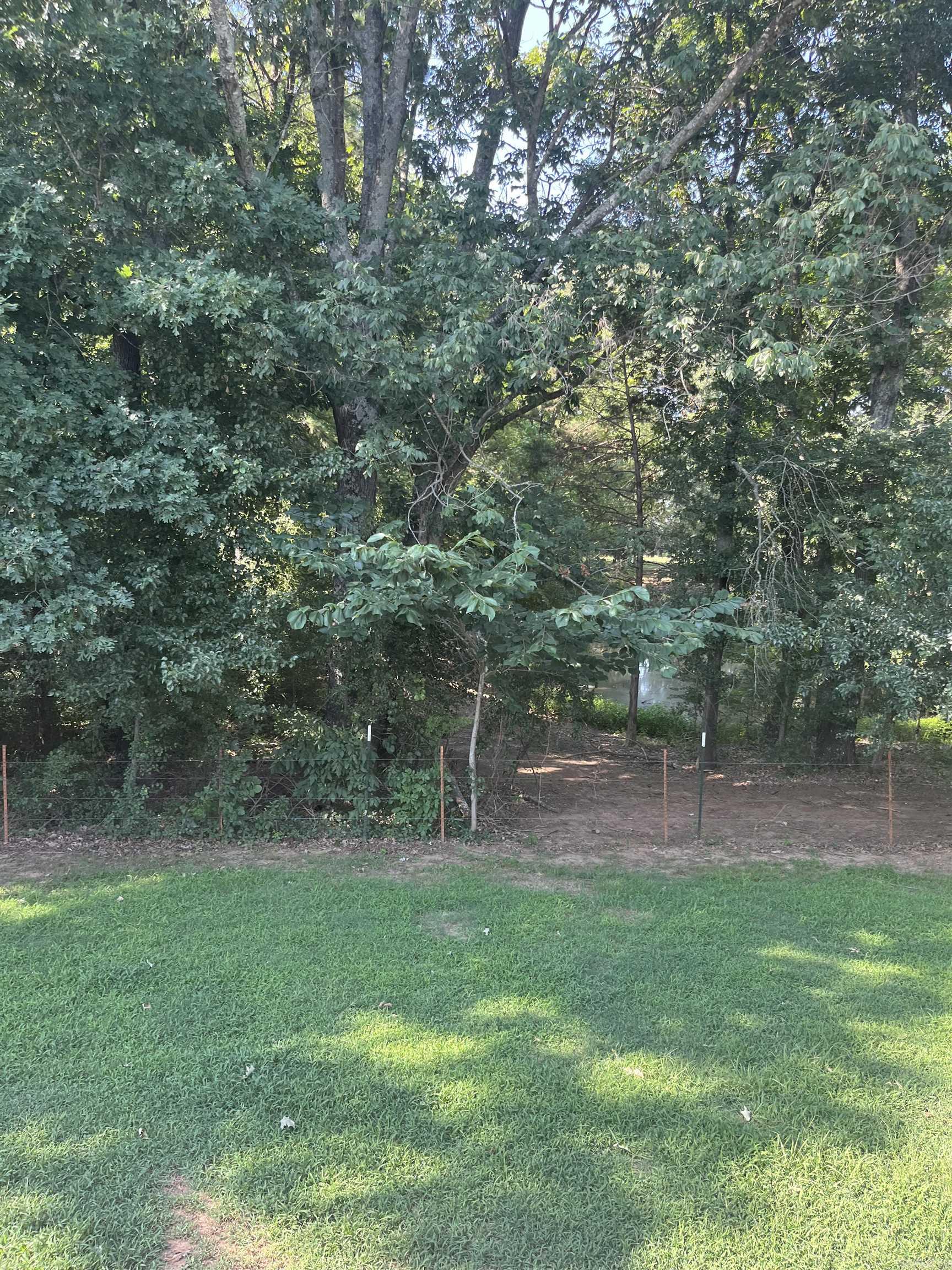 22 Birchwood  Ward, AR