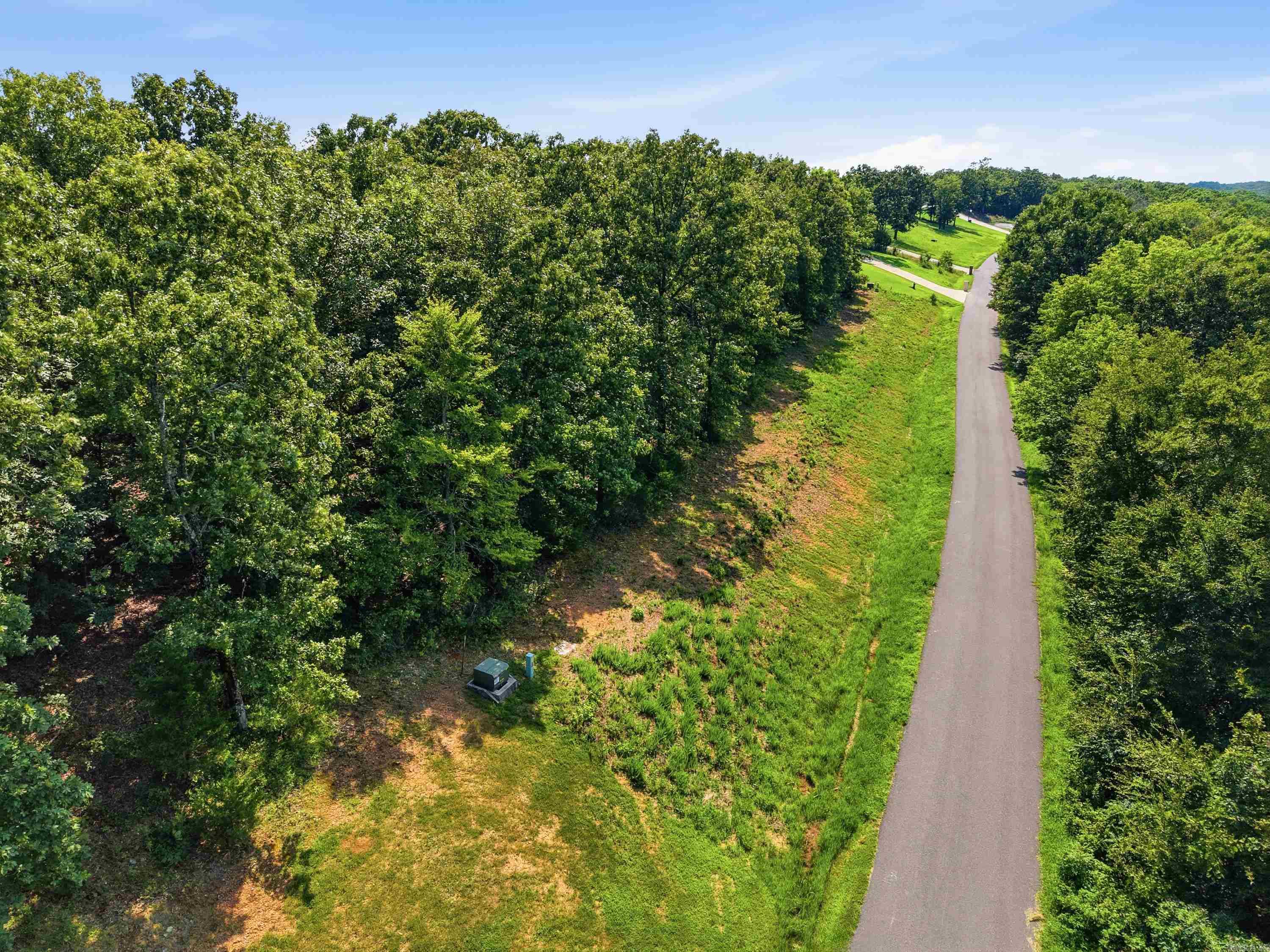 Lot 36 Crested Butte  Austin, AR
