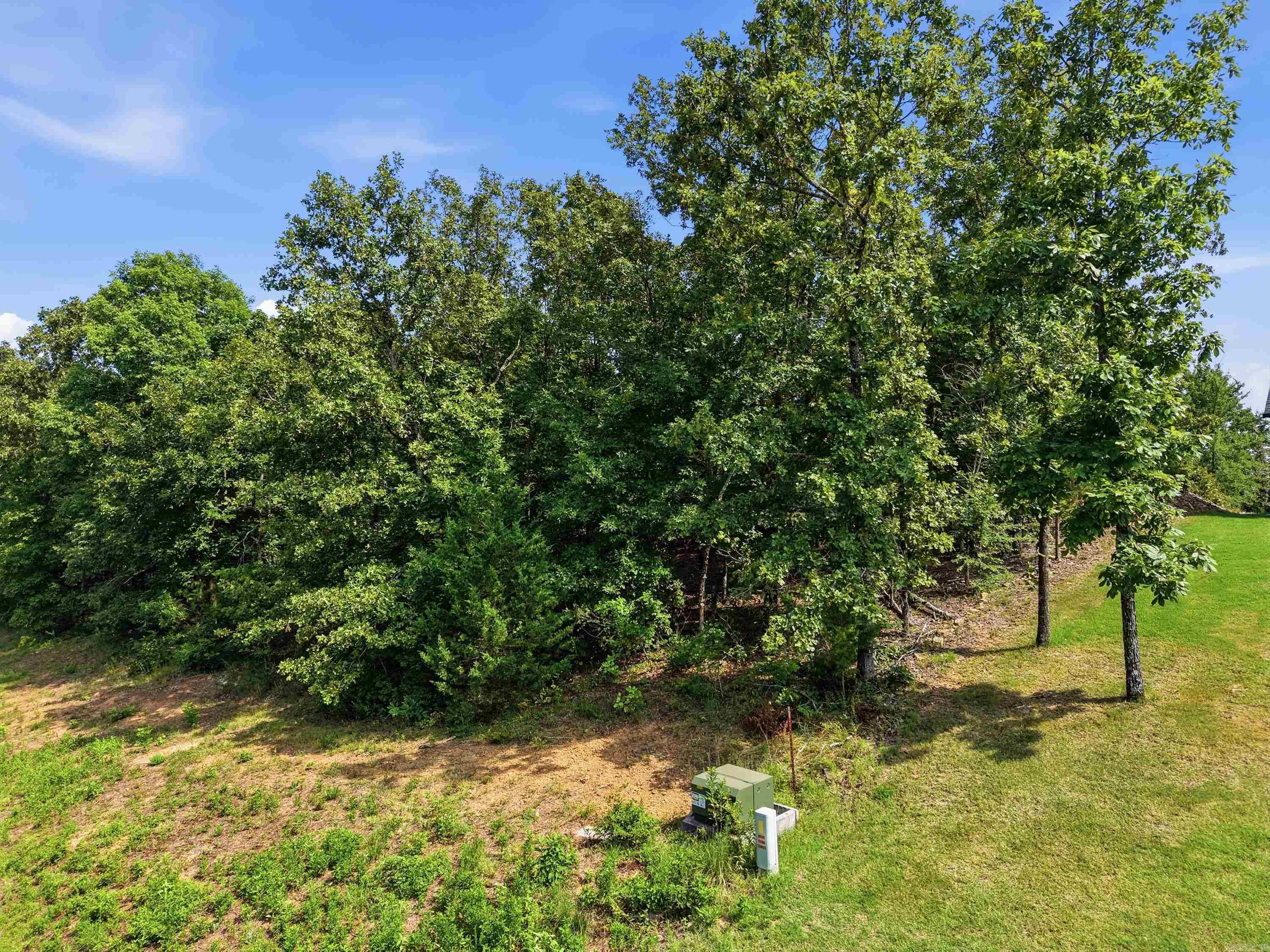 Lot 37 Crested Butte  Austin, AR